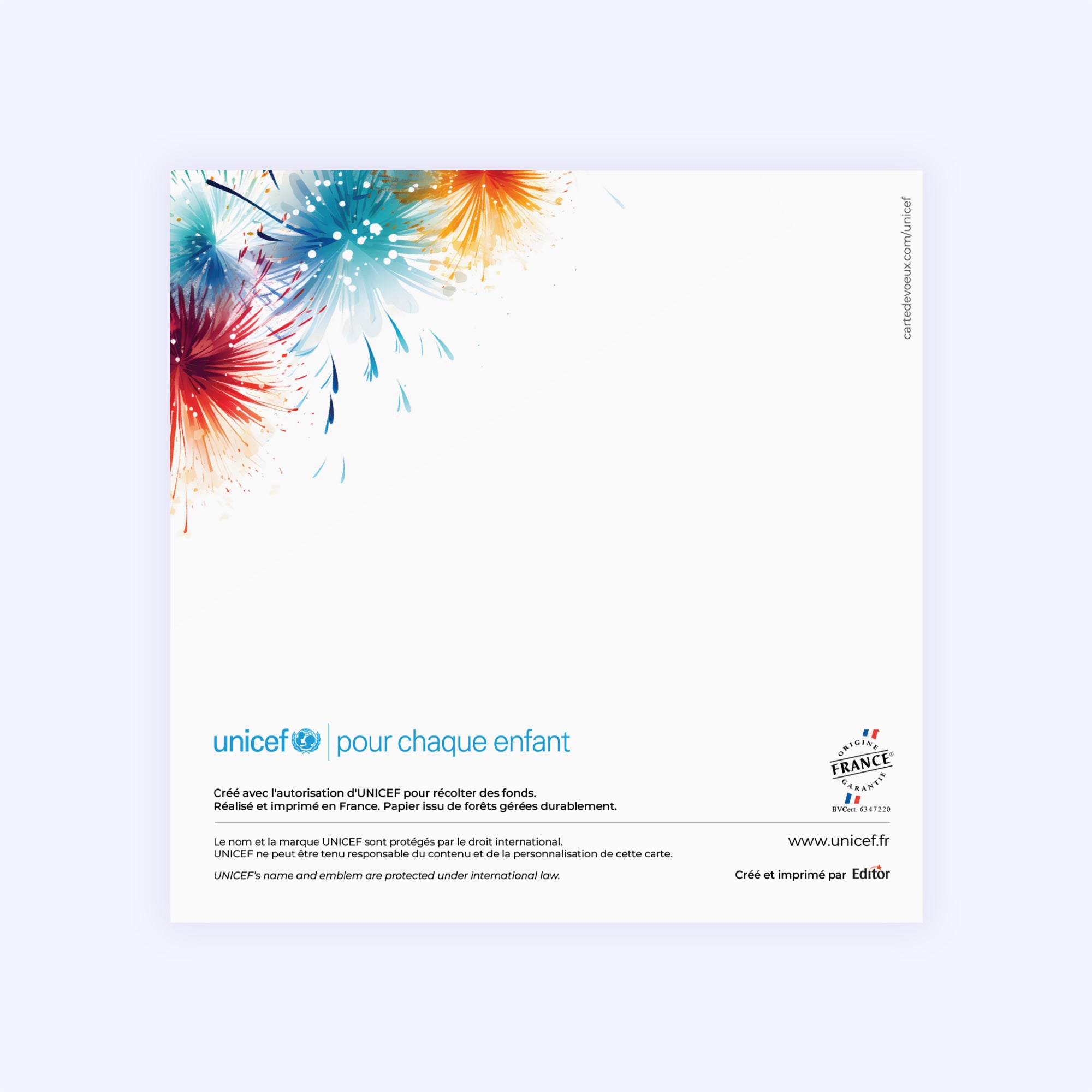Artifice coloré | Vœux professionnels • Carte de voeux photo N° 3