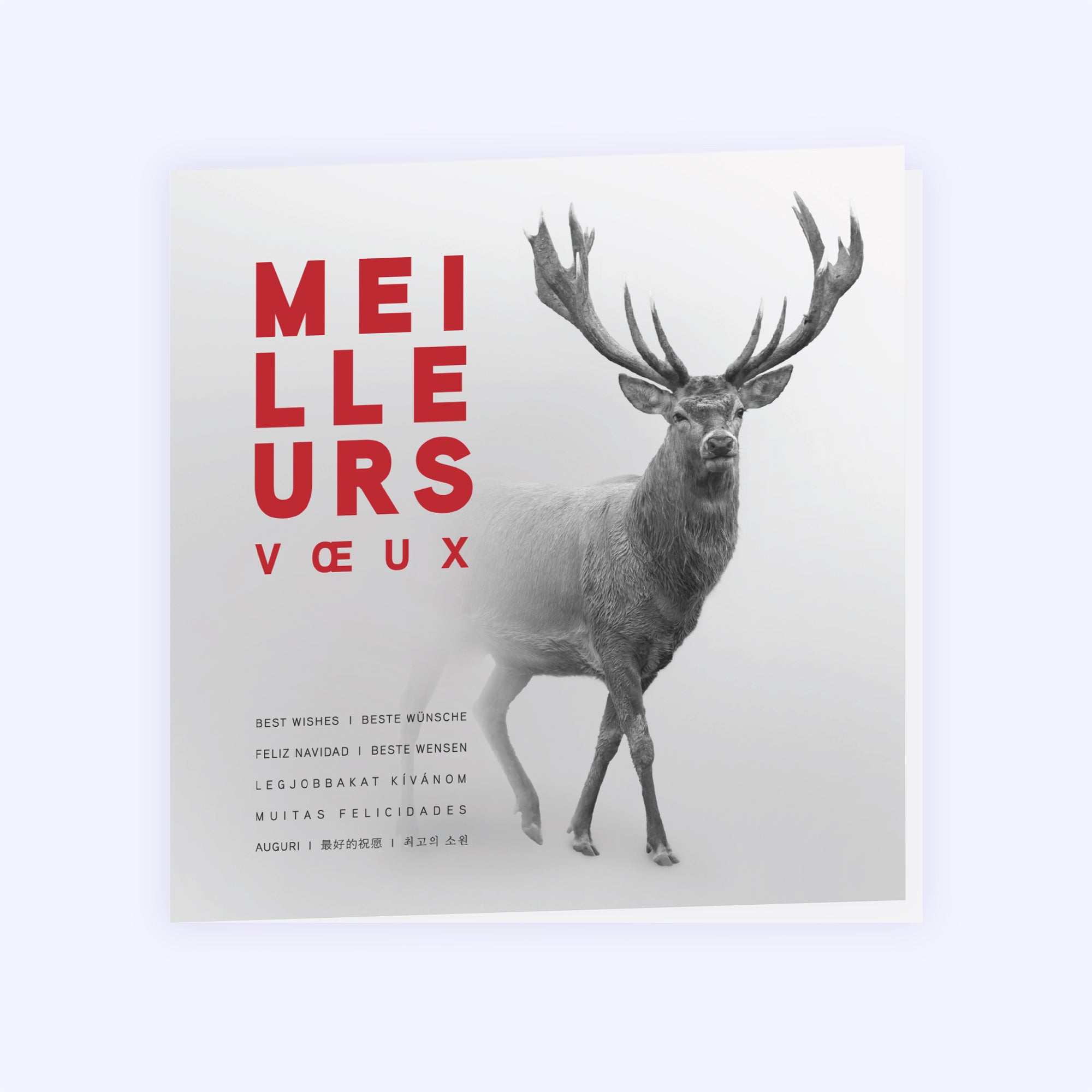 L'approche du cerf | Vœux professionnels • Carte de voeux photo N° 1