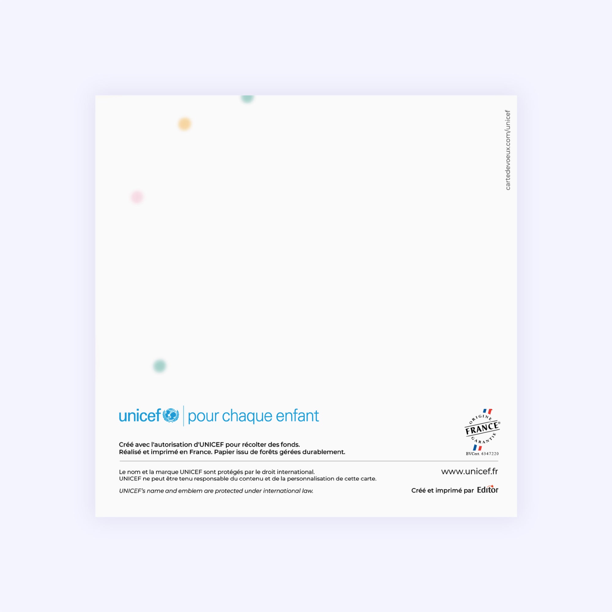 Caméléon multicolore | Vœux professionnels • Carte de voeux photo N° 3