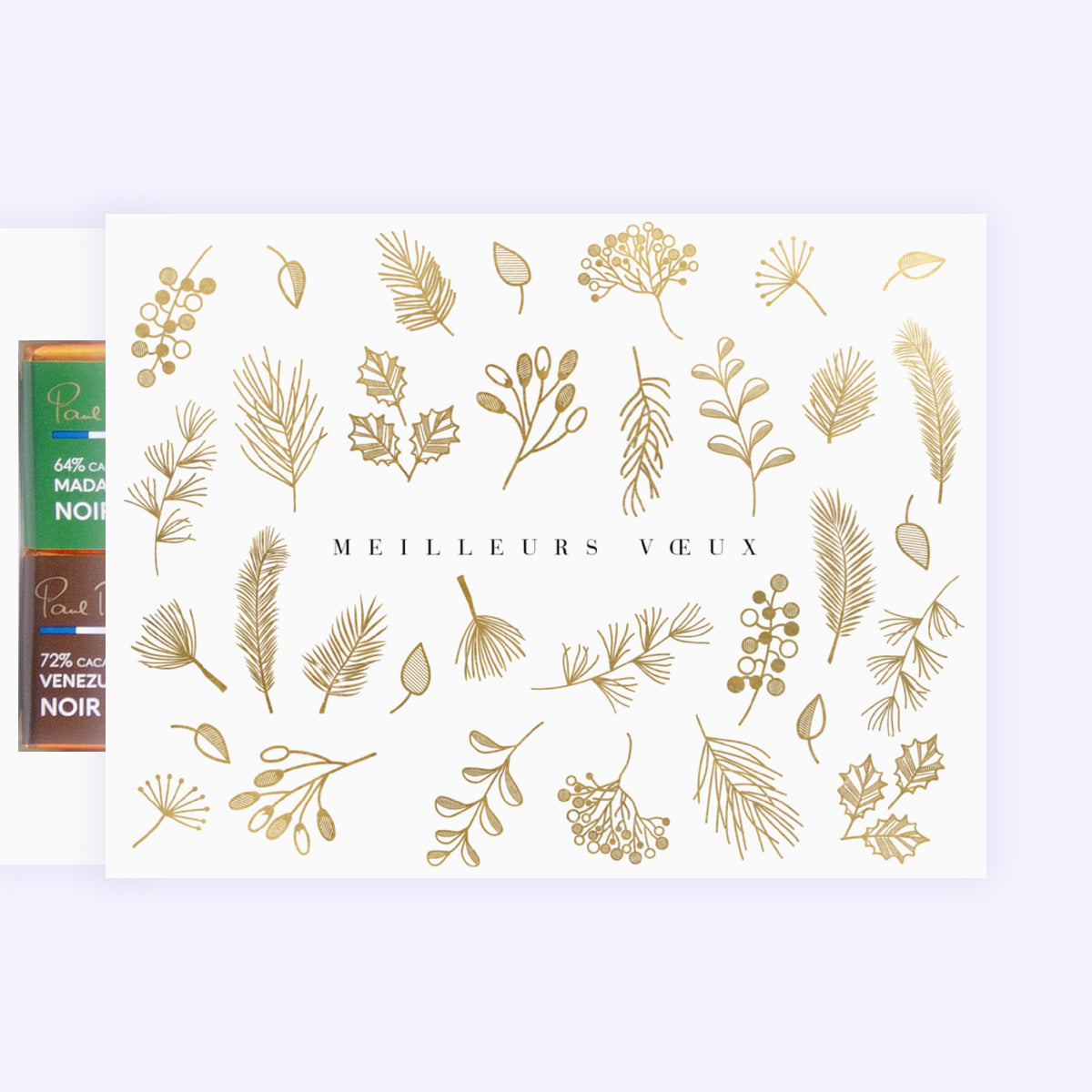 Végétation d’Hiver | Vœux professionnels • Carte chocolats photo N° 1