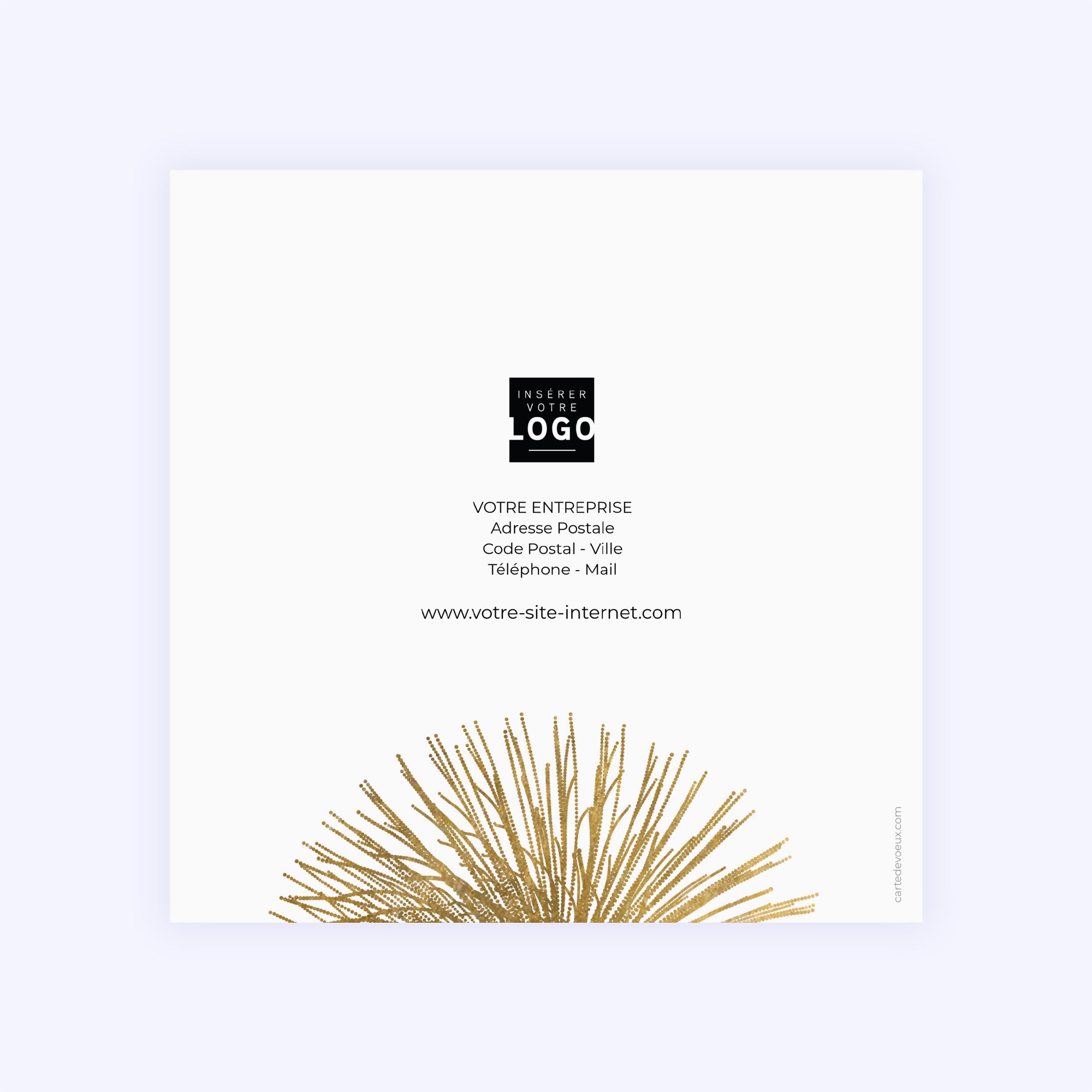 Feu d'Artifice | Vœux professionnels • Carte de voeux • Carré double photo N° 3