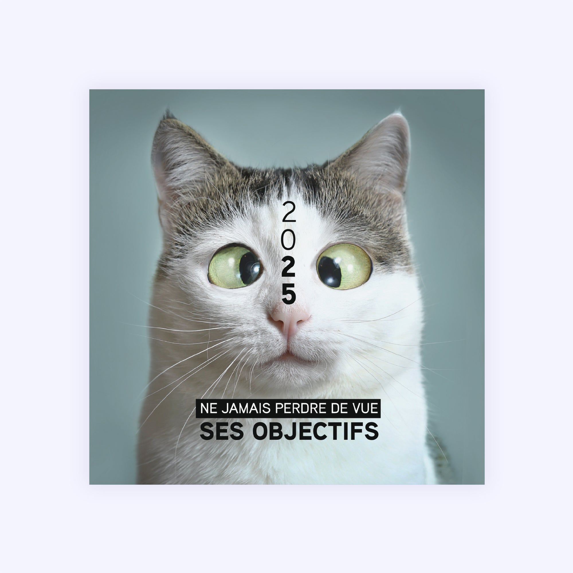 Funny Cat | Vœux professionnels • Carte de voeux • Carré photo N° 1