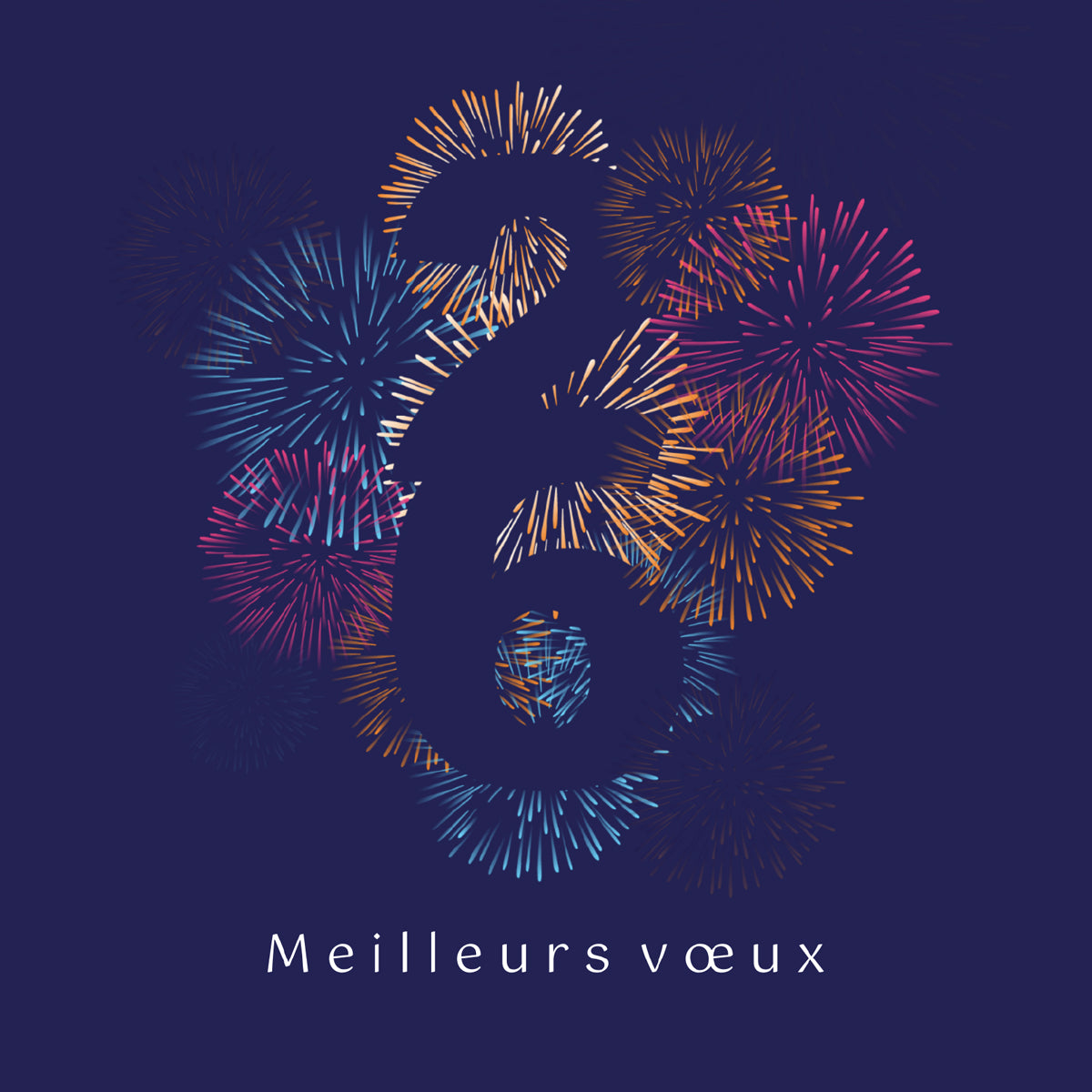 Fireworks | Vœux professionnels • Carte virtuelle • eCard Vidéo photo N° 1