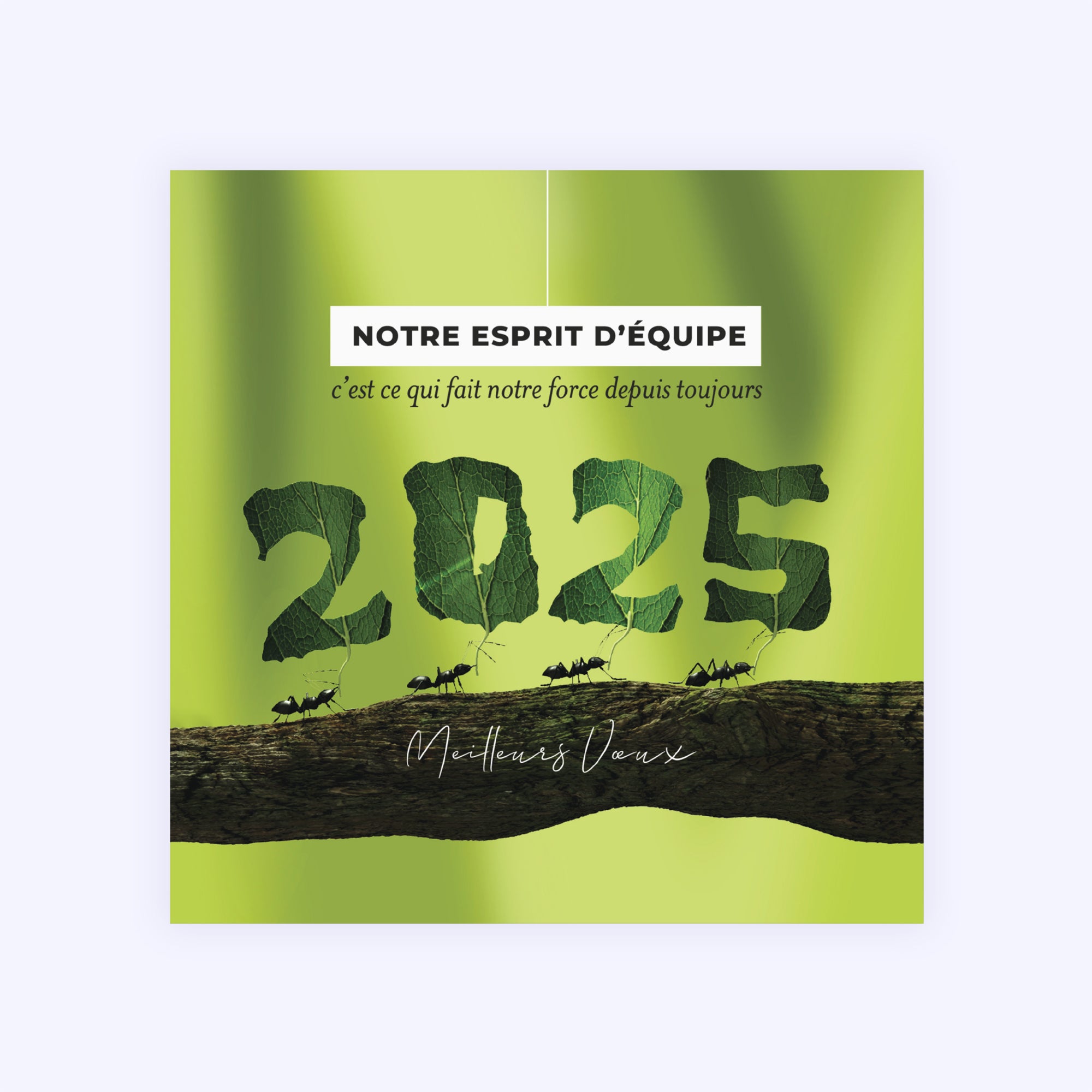 Team power | Vœux professionnels • Carte de voeux • Carré photo N° 1