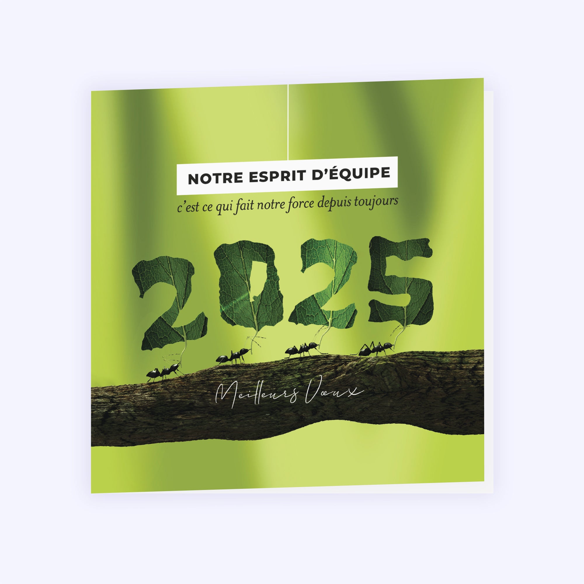 Team power | Vœux professionnels • Carte de voeux • Carré double photo N° 1