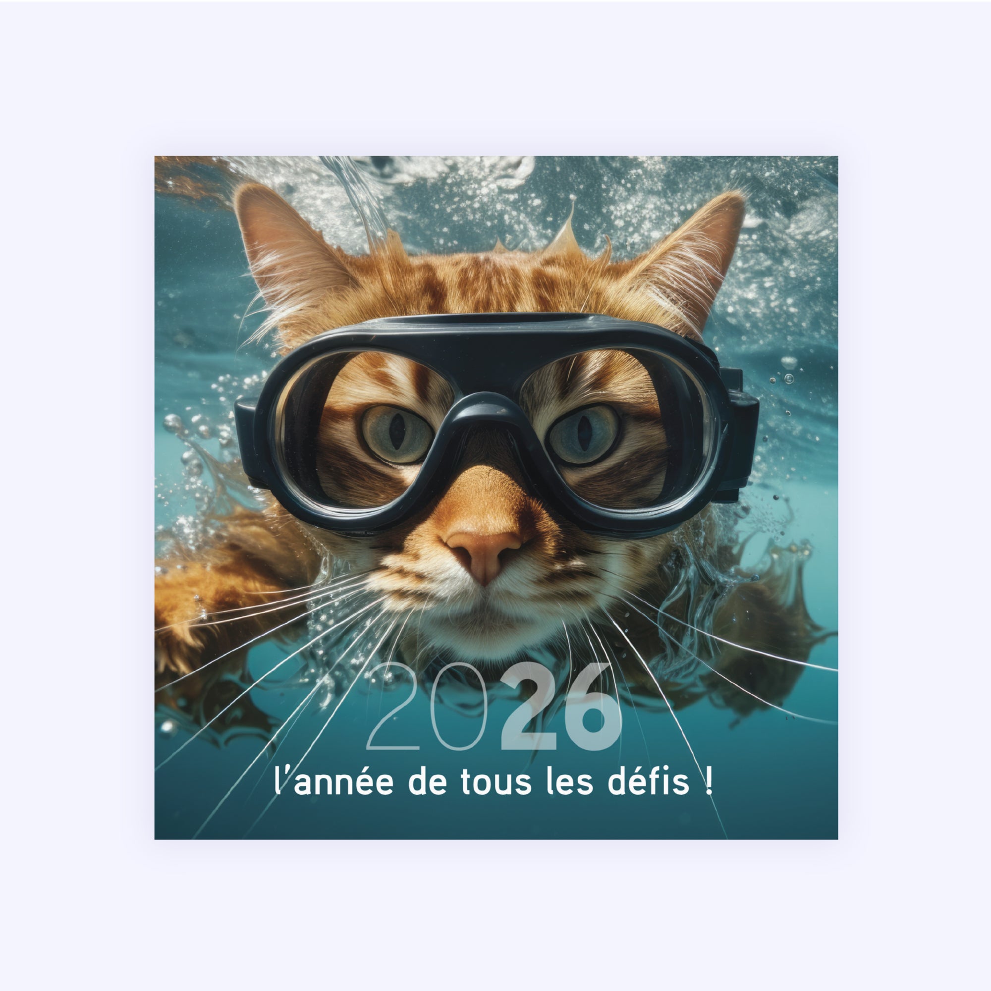 Chat(leureuse) année | Vœux professionnels • Carte de voeux • Carré photo N° 1