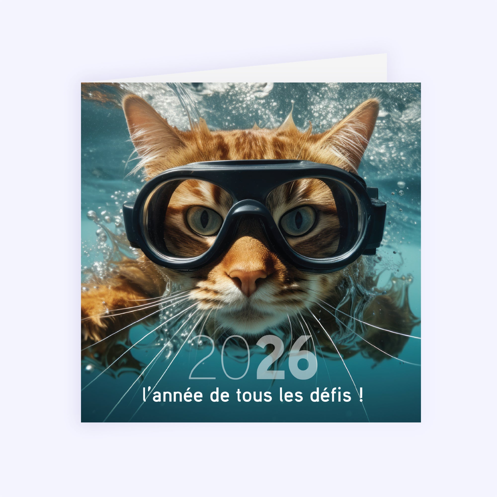 Chat(leureuse) année | Vœux professionnels • Carte de voeux • Carré double photo N° 1