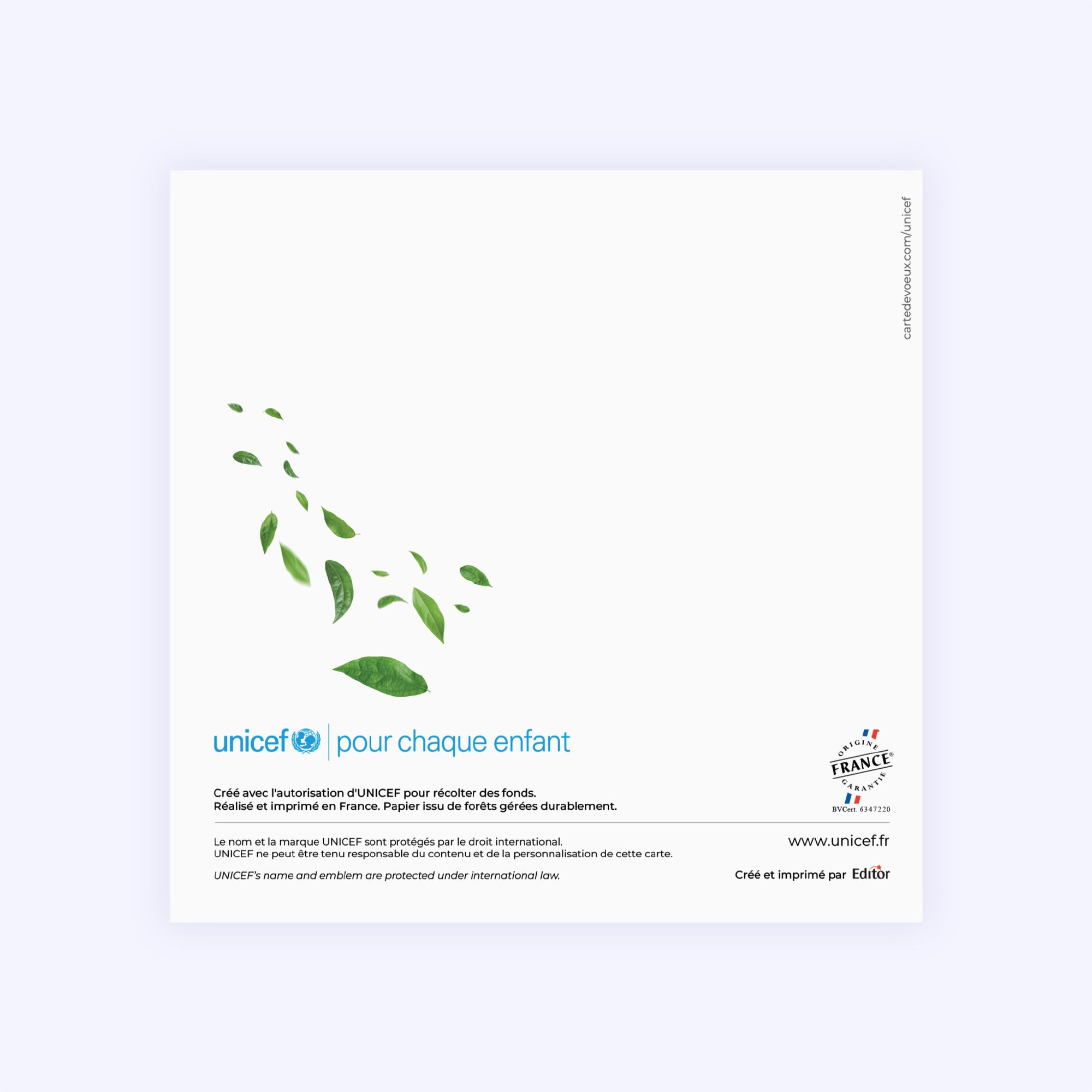 La planète dans nos mains | Vœux professionnels • Carte de voeux • Carré double photo N° 3