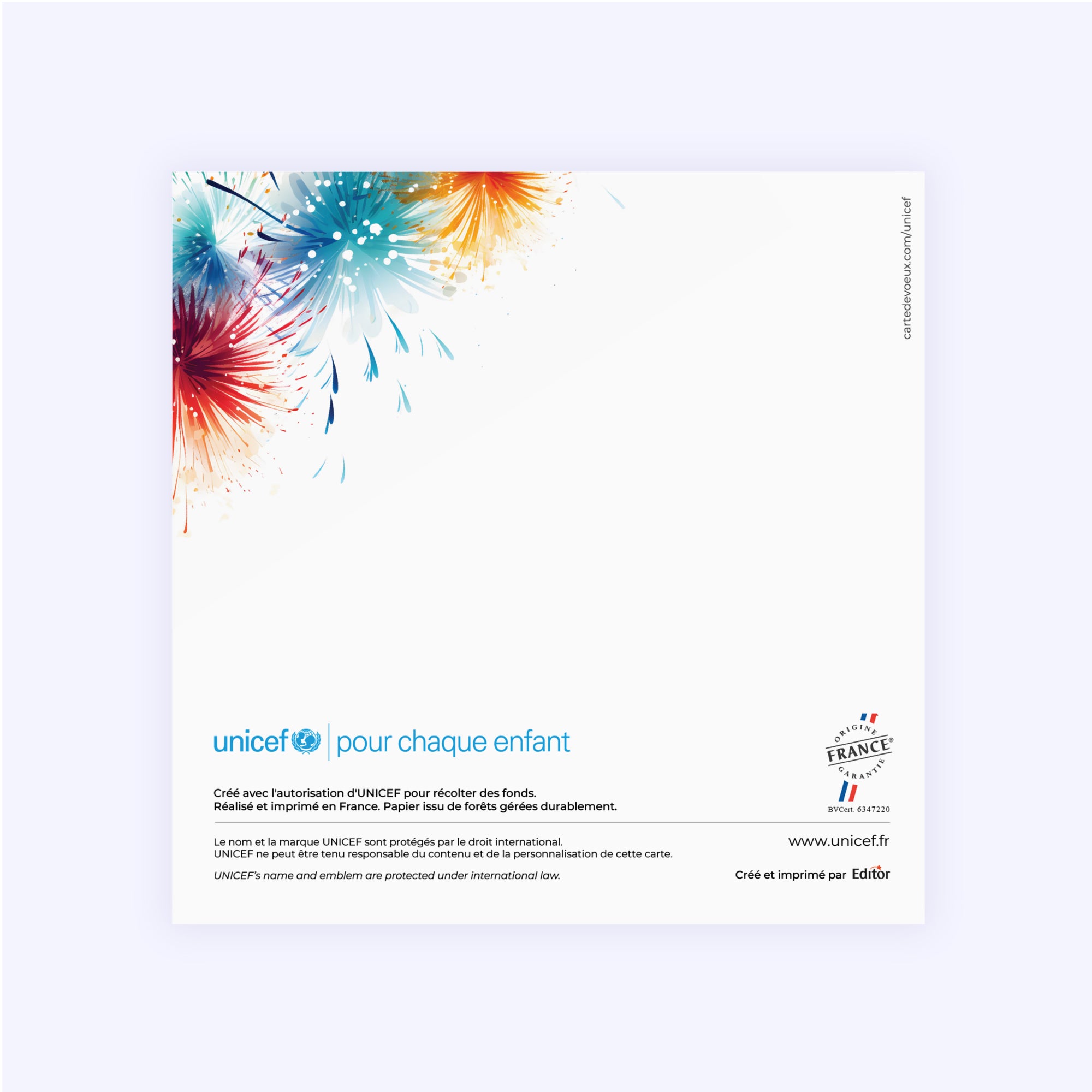 Artifice coloré | Vœux professionnels • Carte de voeux • Carré double photo N° 3