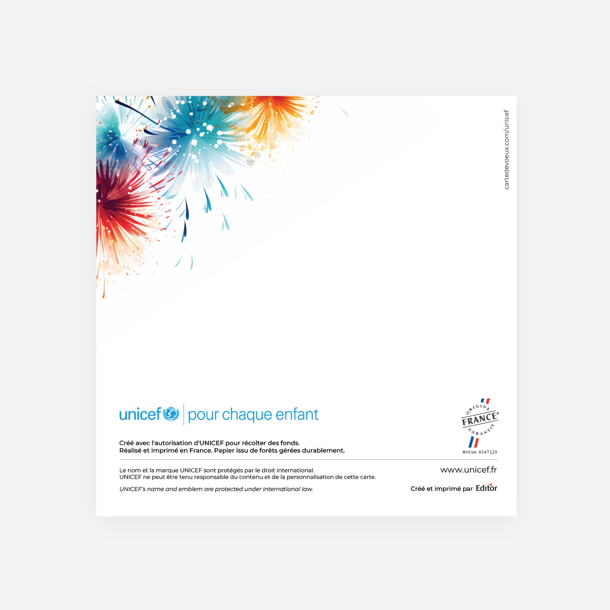Artifice coloré | Vœux professionnels • Carte de voeux • Carré double photo N° 3