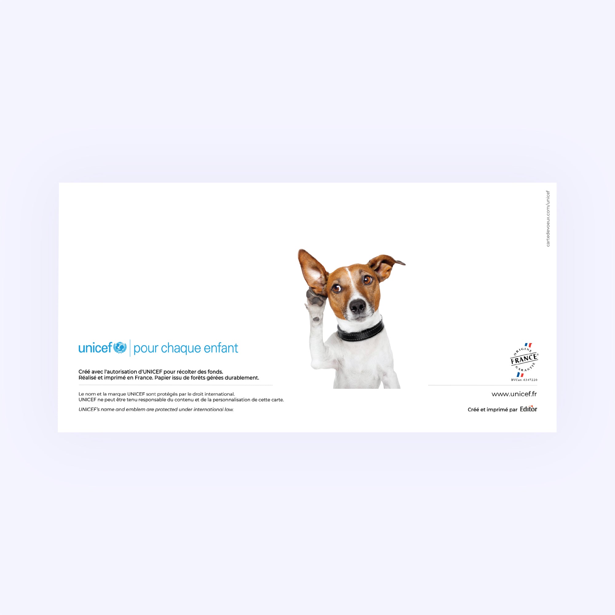 Le champion | Vœux professionnels • Carte de voeux • Rectangle double photo N° 3