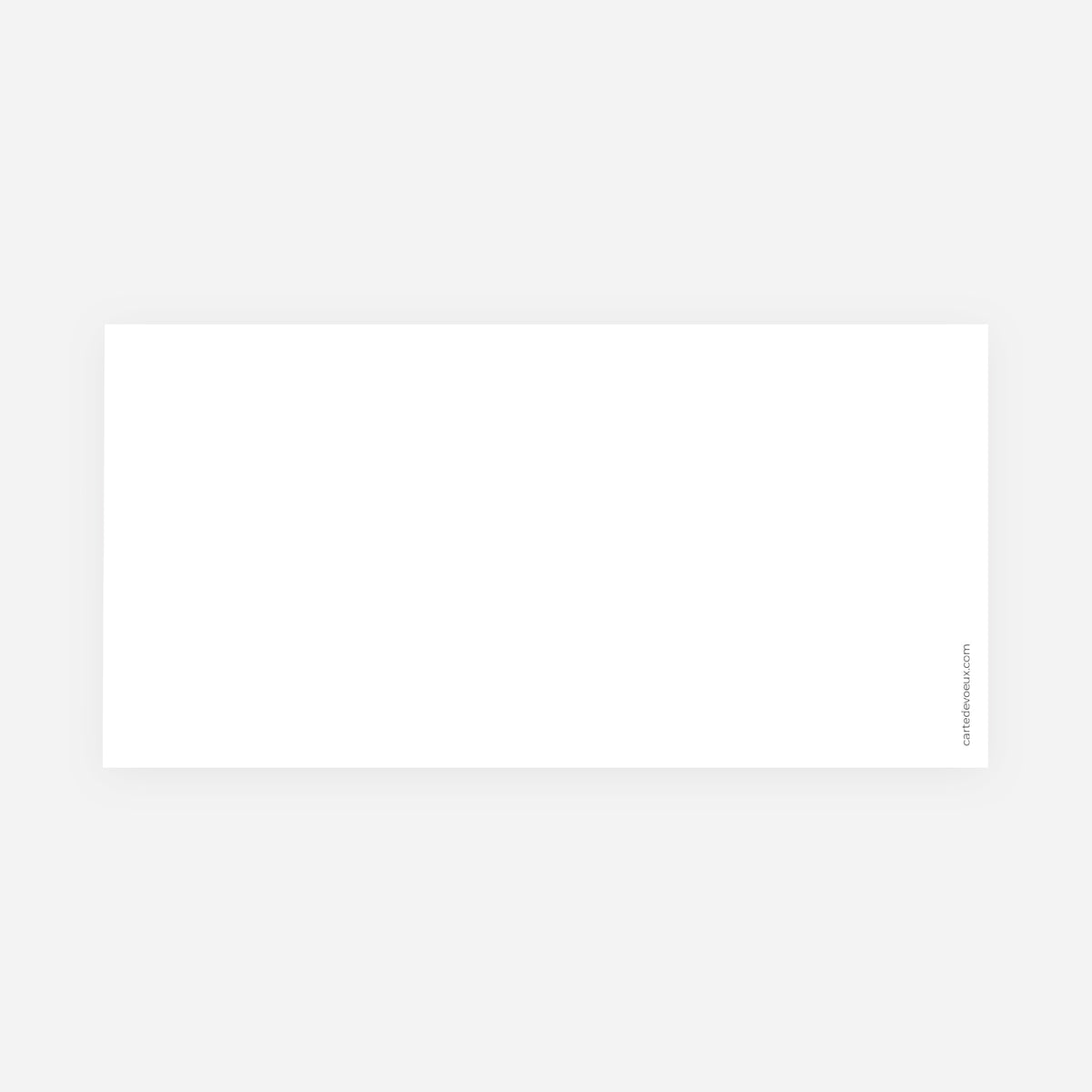 Do It Yourself | Vœux professionnels • Carte de voeux • Panoramique pliable photo N° 3