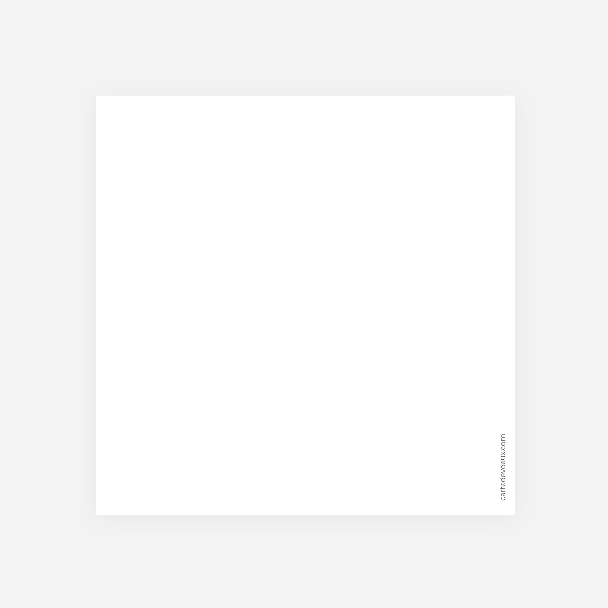 Do It Yourself VII | Vœux professionnels • Carte de voeux • Carré double photo N° 3
