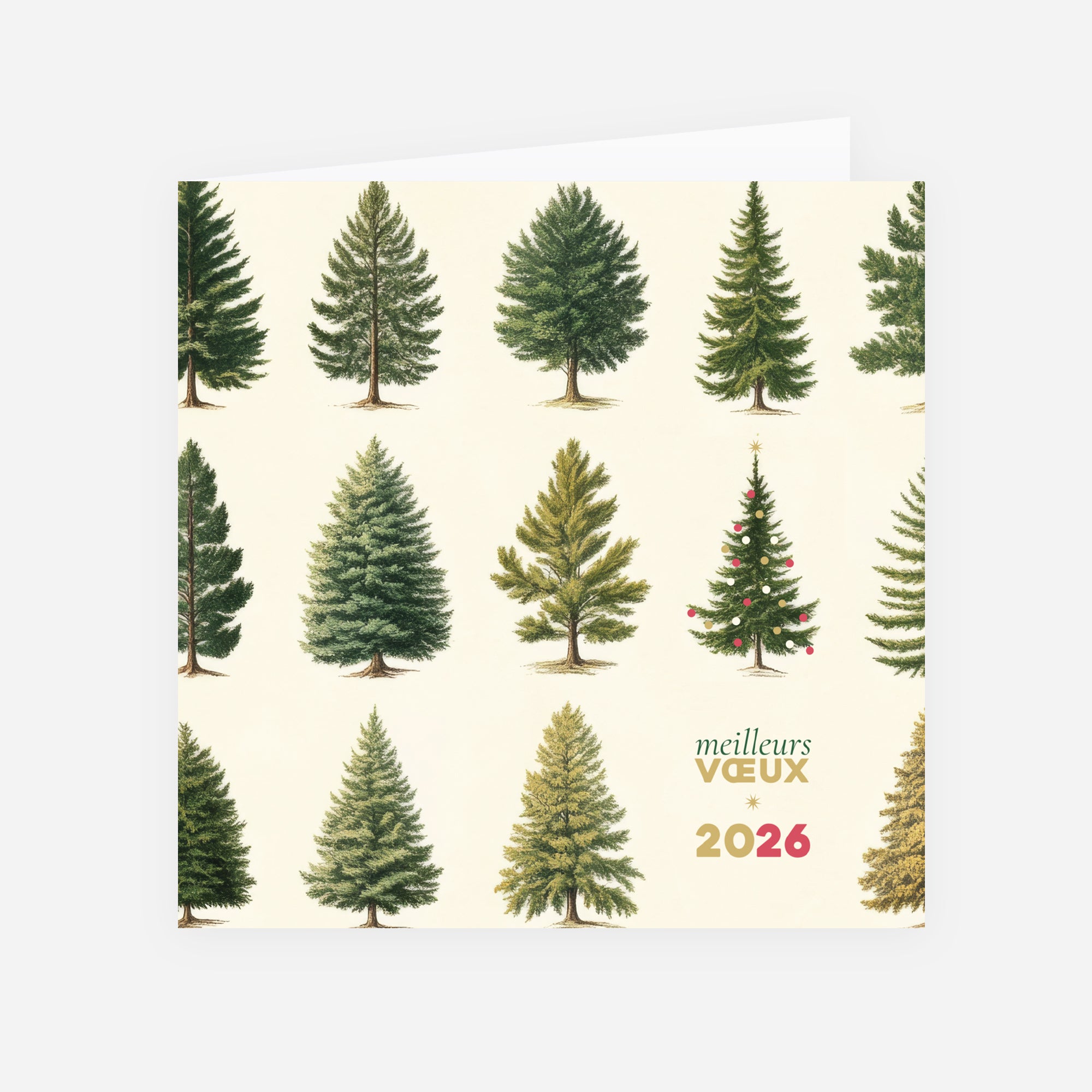 Multi sapins | Vœux professionnels • Carte de voeux • Carré double photo N° 1