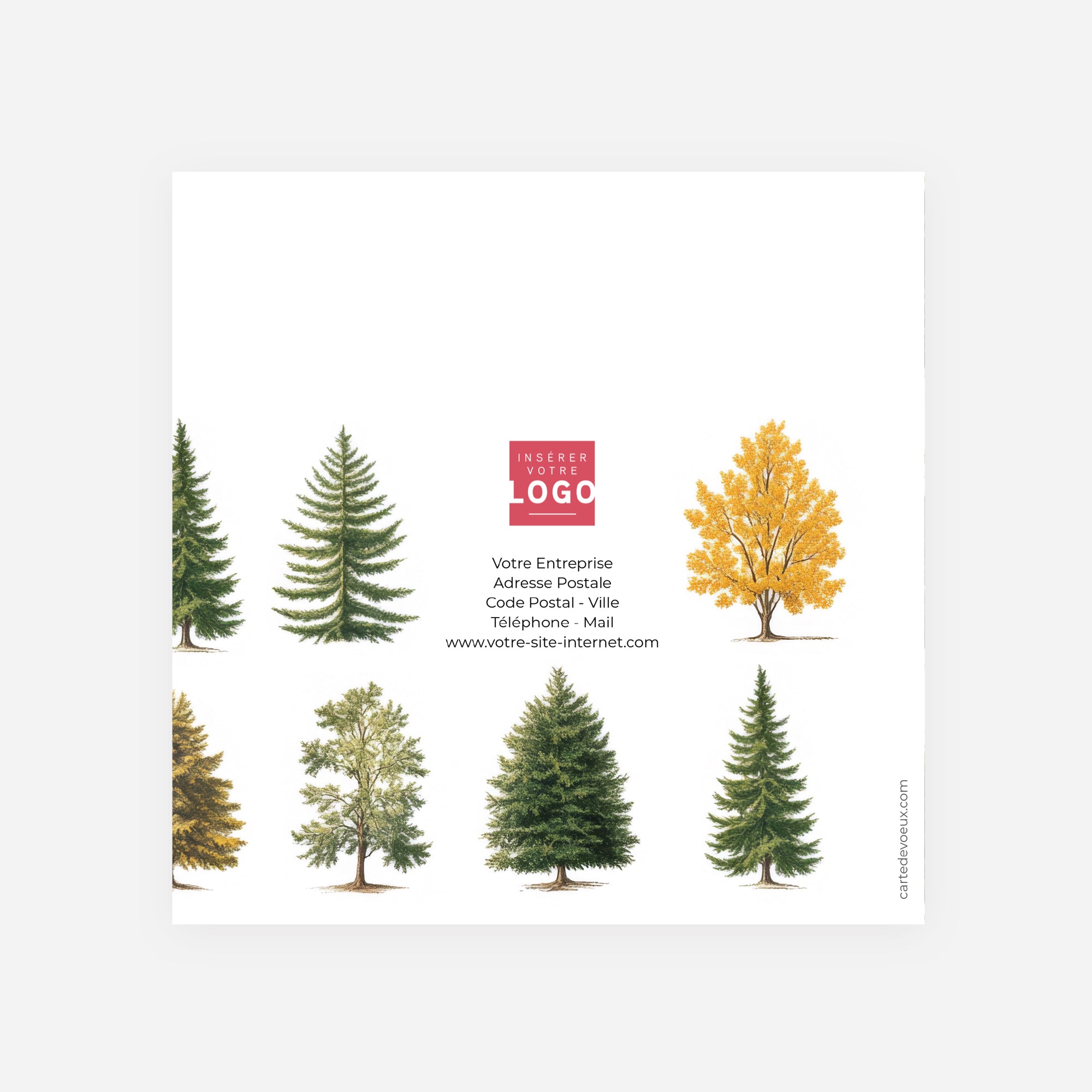 Multi sapins | Vœux professionnels • Carte de voeux • Carré double photo N° 3