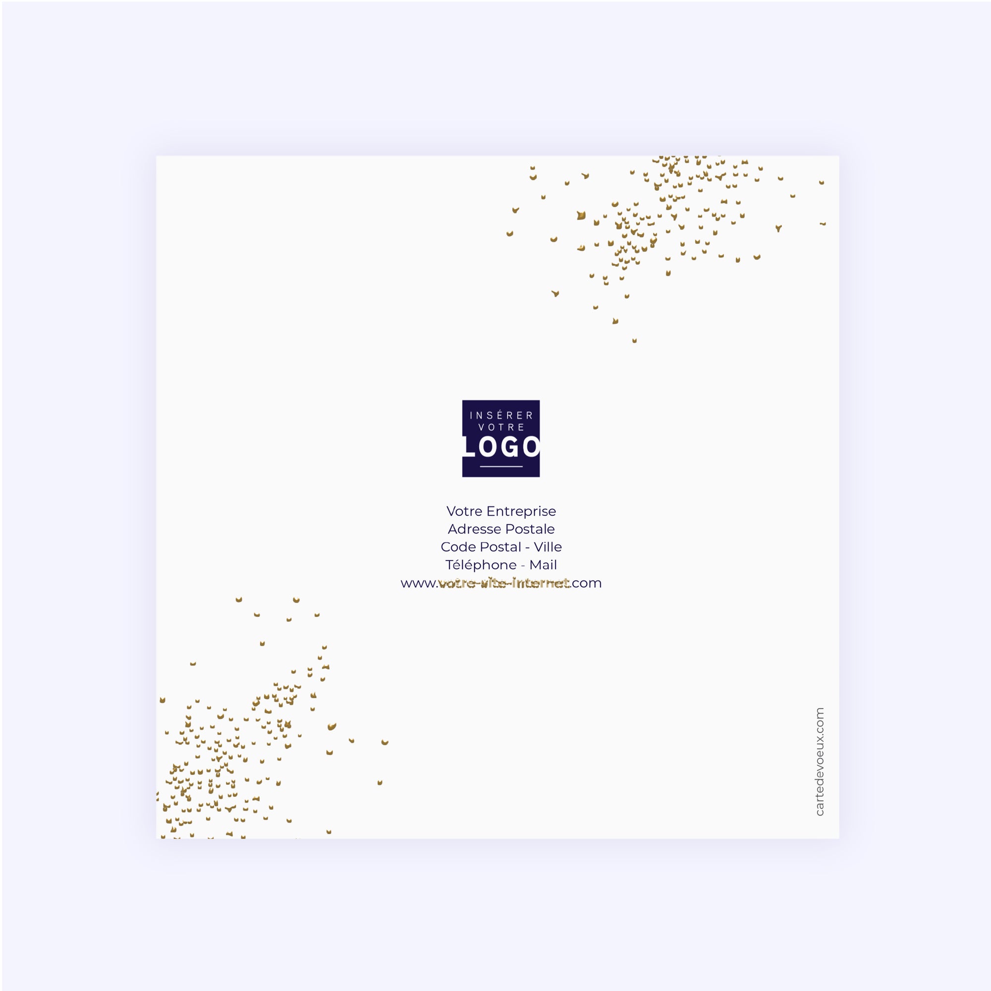 Paillettes d’Or 2027 | Vœux professionnels • Carte de voeux dorure • Carré double photo N° 3