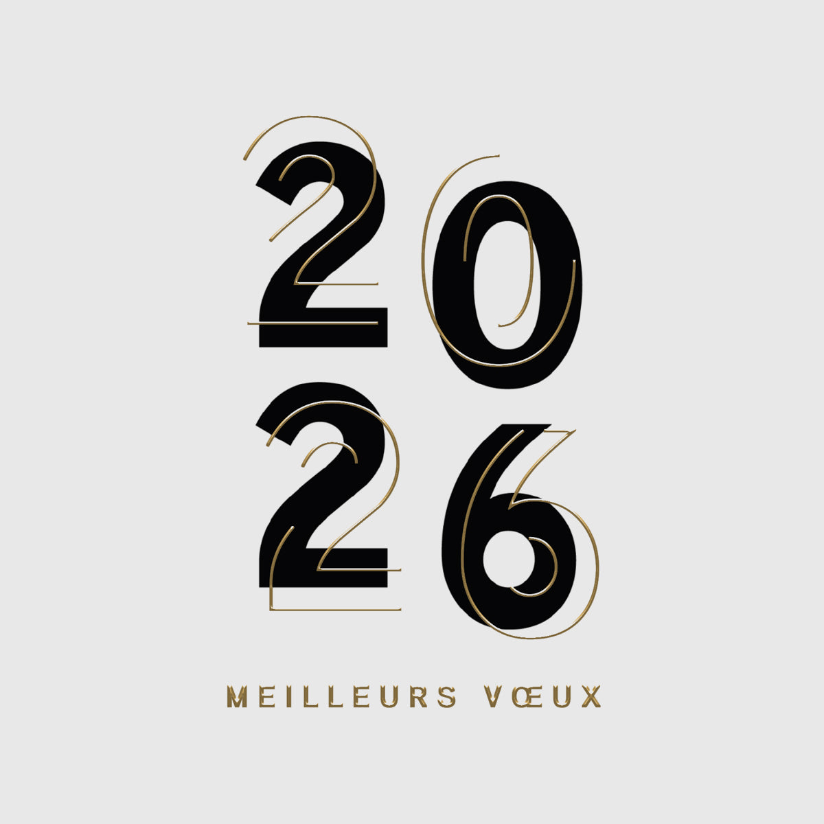 2026 en lumière | Vœux professionnels • Carte virtuelle • eCard Vidéo photo N° 1