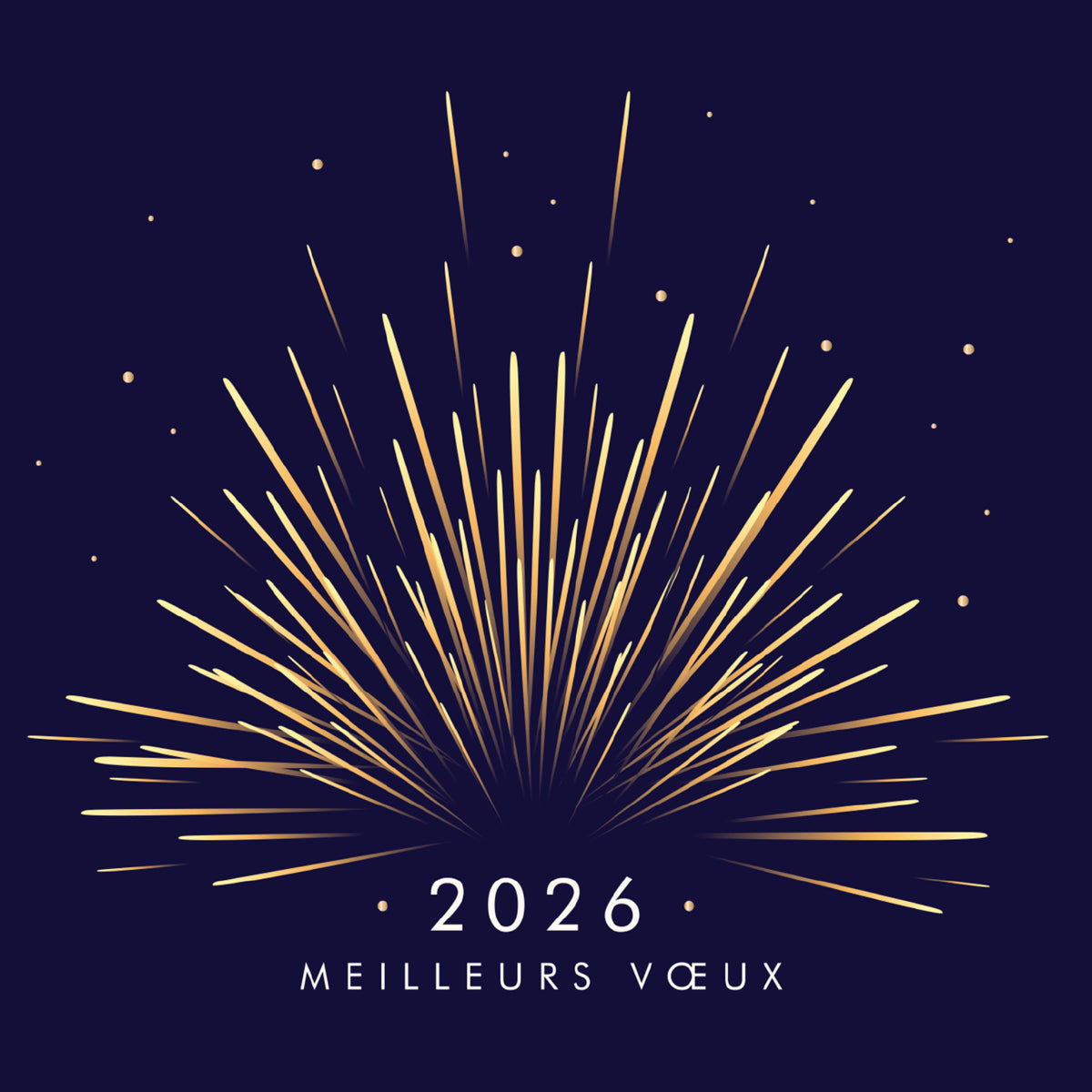 Bouquet d’étincelles | Vœux professionnels • Carte virtuelle • eCard Vidéo photo N° 1