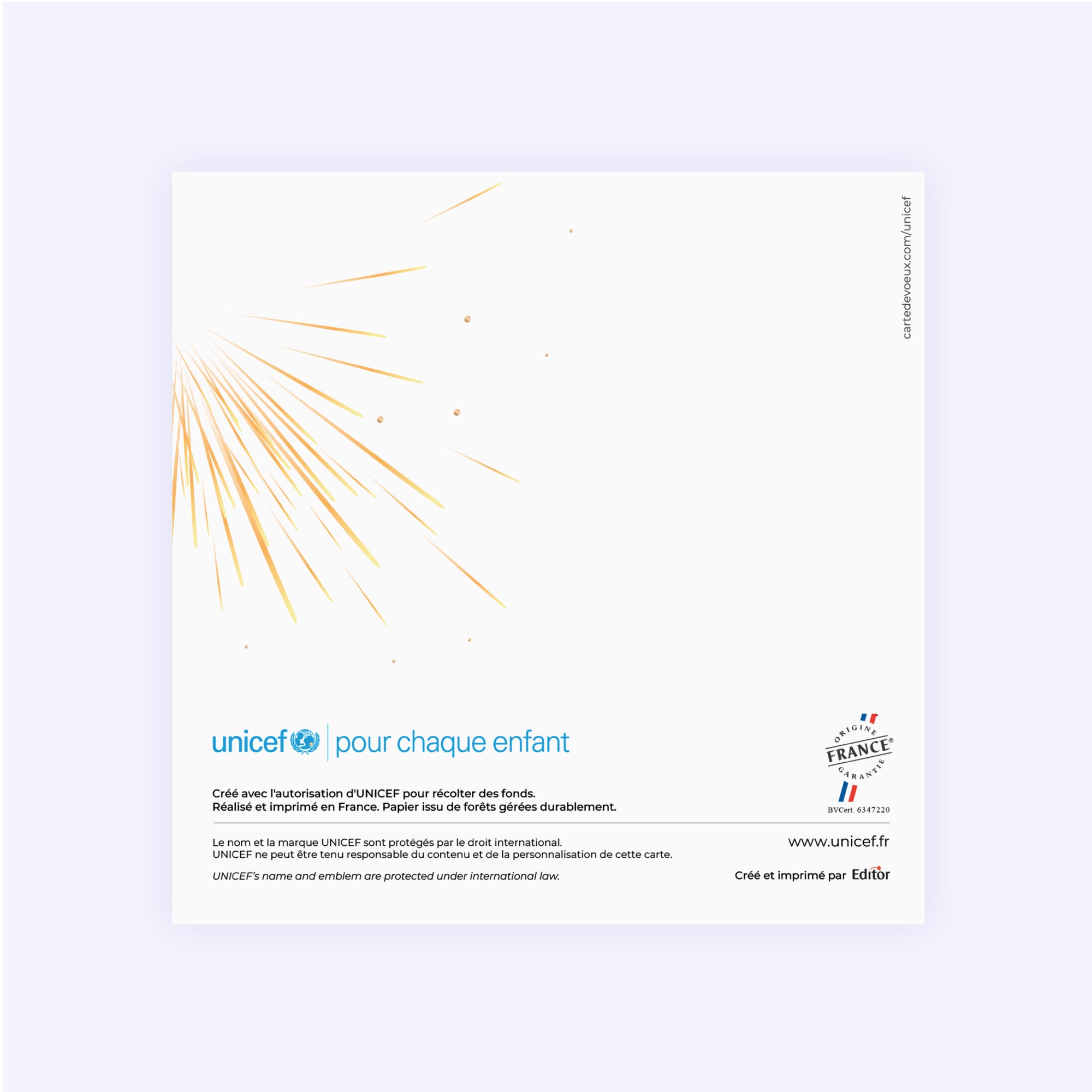 Bouquet d’étincelles | Vœux professionnels • Carte de voeux • Carré double photo N° 3