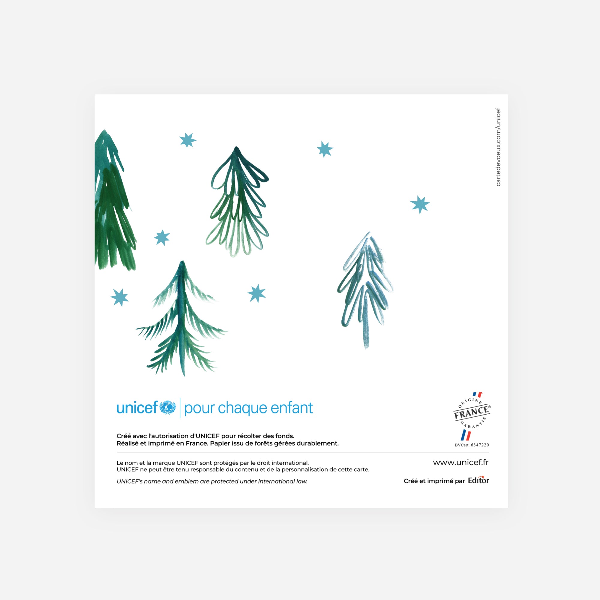 Le sapin étoilé | Vœux professionnels • Carte de voeux • Carré double photo N° 3