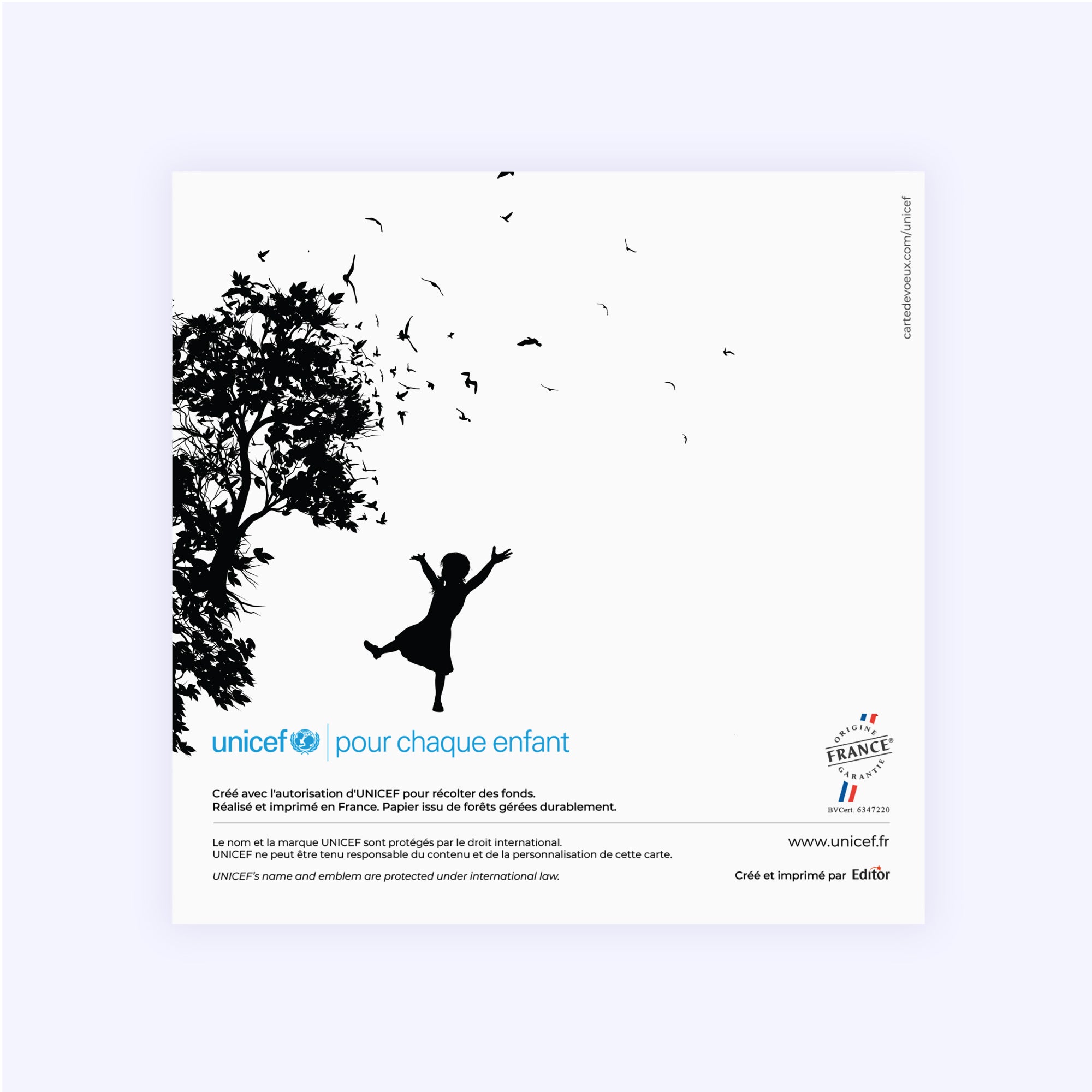 Lueur Nouvelle | Vœux professionnels • Carte de voeux • Carré double photo N° 3