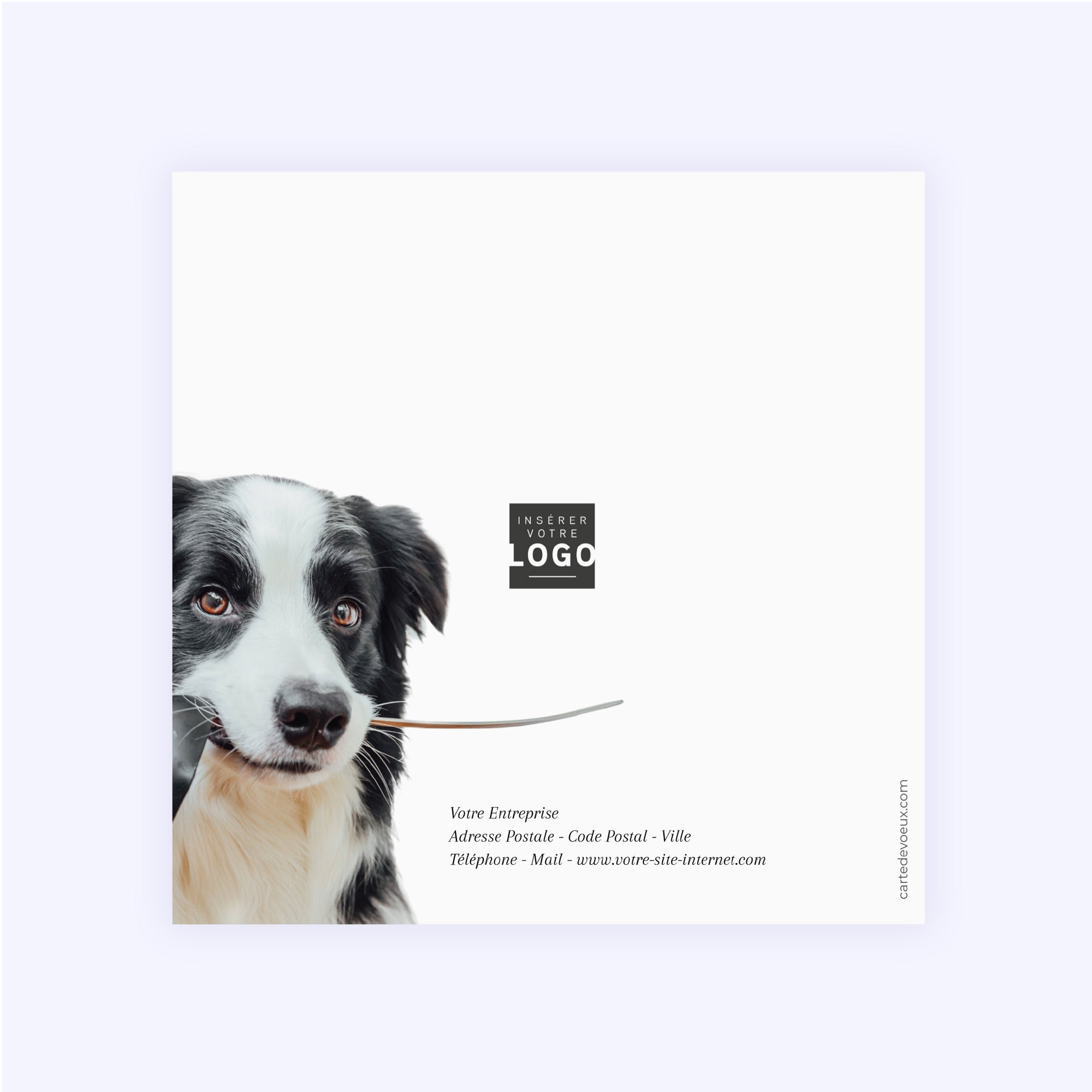 Saveurs de Fête | Vœux professionnels • Carte de voeux • Carré double photo N° 3