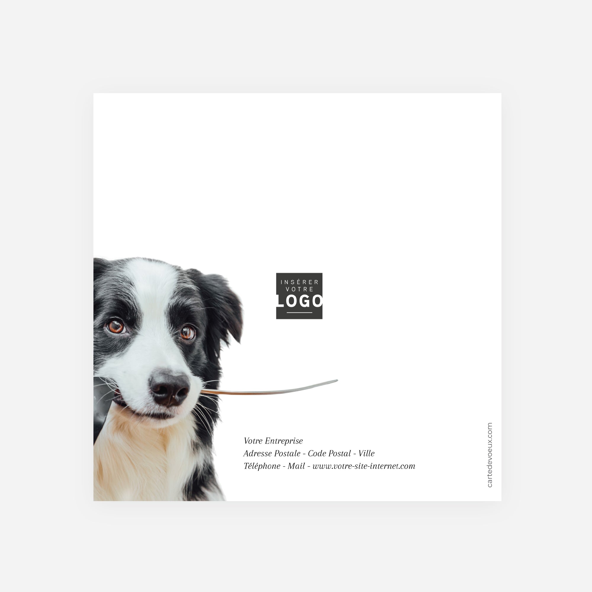 Saveurs de Fête | Vœux professionnels • Carte de voeux • Carré double photo N° 3