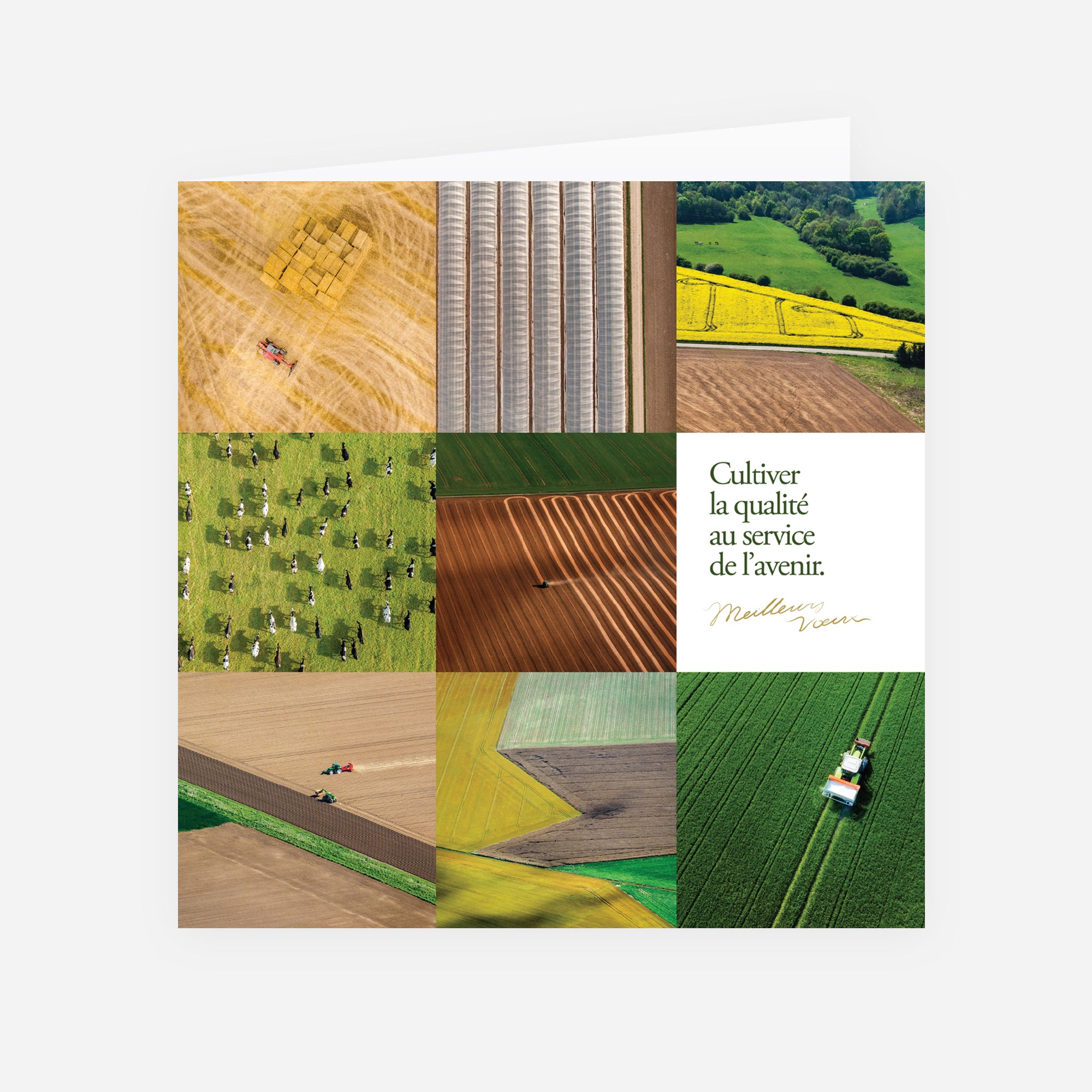Cultiver l’Avenir | Vœux professionnels • Carte de voeux • Carré double photo N° 1