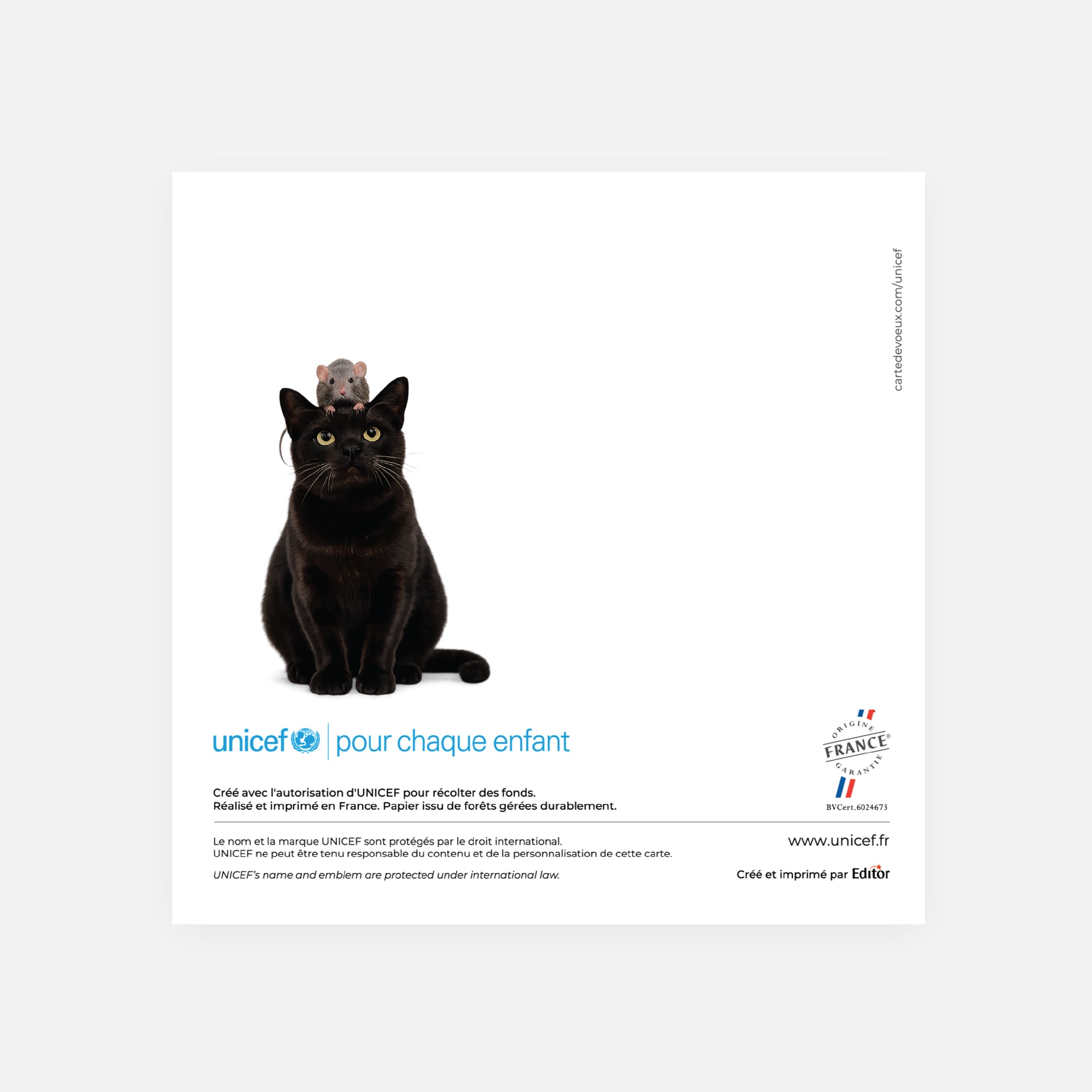 Œil sur l’Avenir | Vœux professionnels • Carte de voeux • Carré double photo N° 3