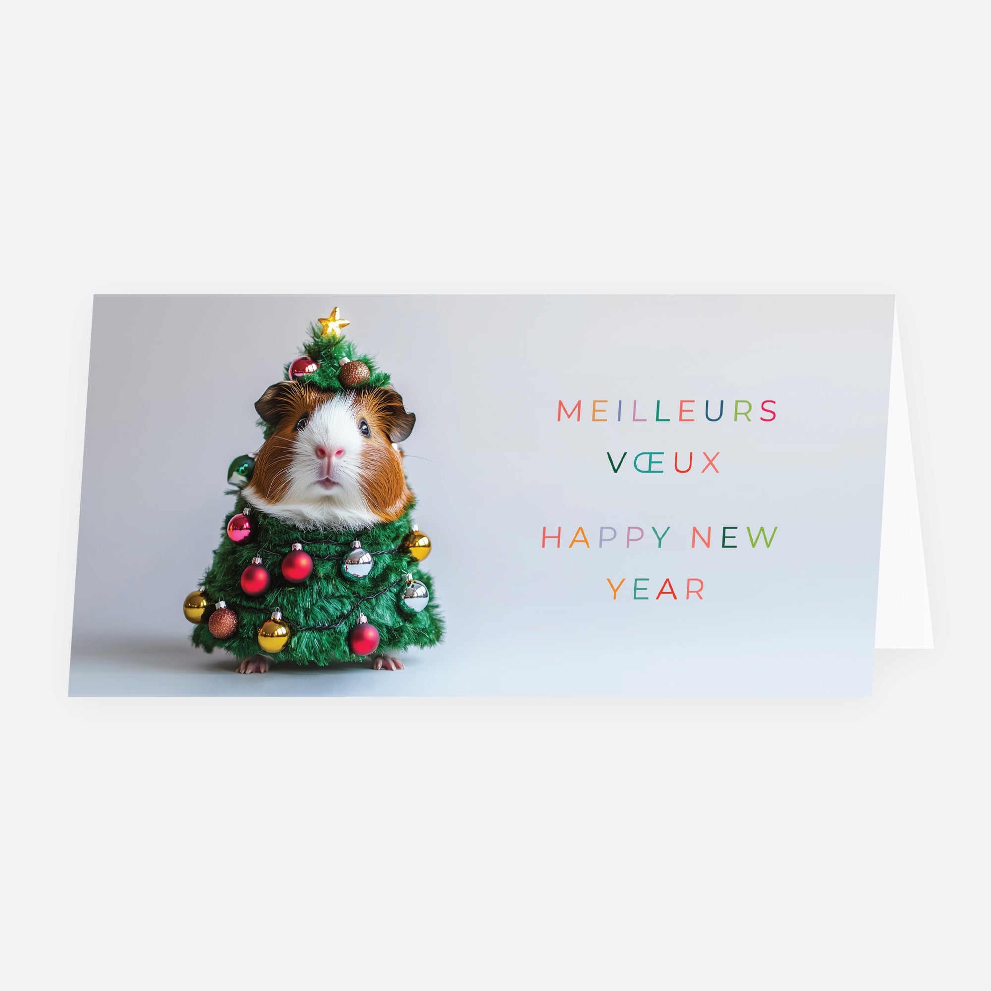 Mascotte de Fête | Vœux professionnels • Carte de voeux • Panoramique pliable photo N° 1