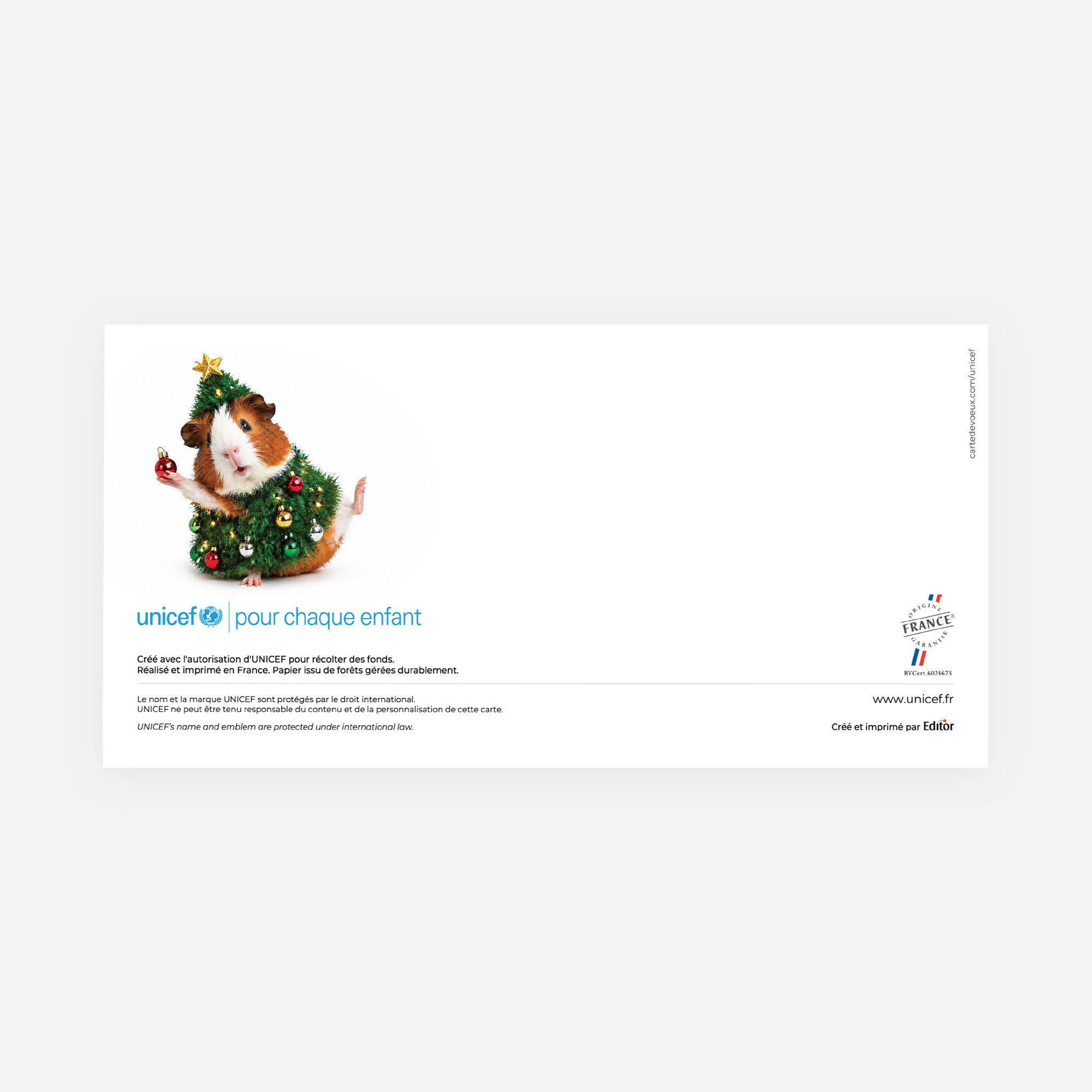 Mascotte de Fête | Vœux professionnels • Carte de voeux • Panoramique pliable photo N° 3