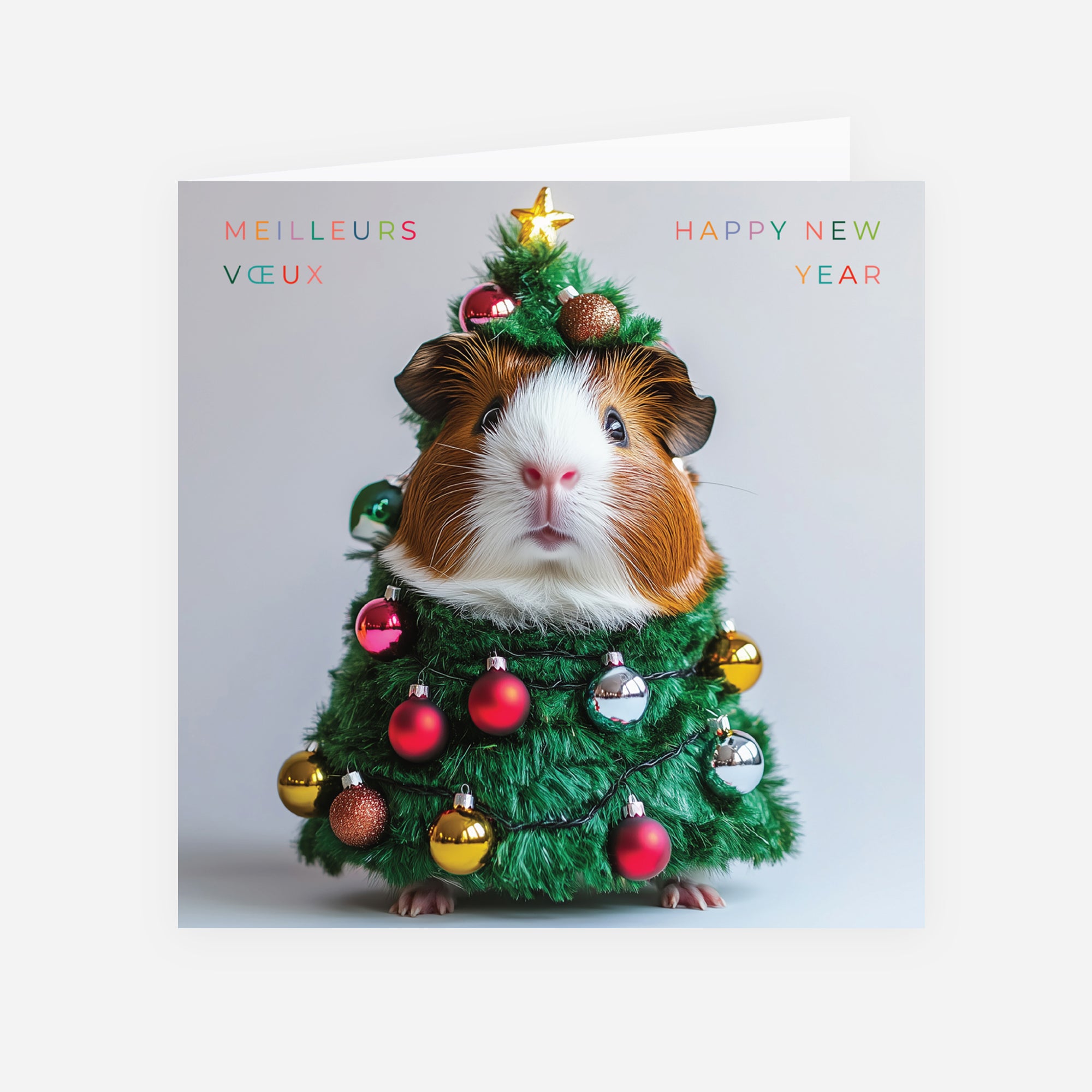 Mascotte de Fête | Vœux professionnels • Carte de voeux • Carré double photo N° 1