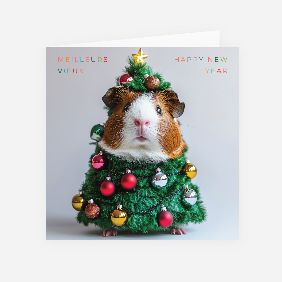 Mascotte de Fête | Vœux professionnels • Carte de voeux • Carrée pliable photo N° 1
