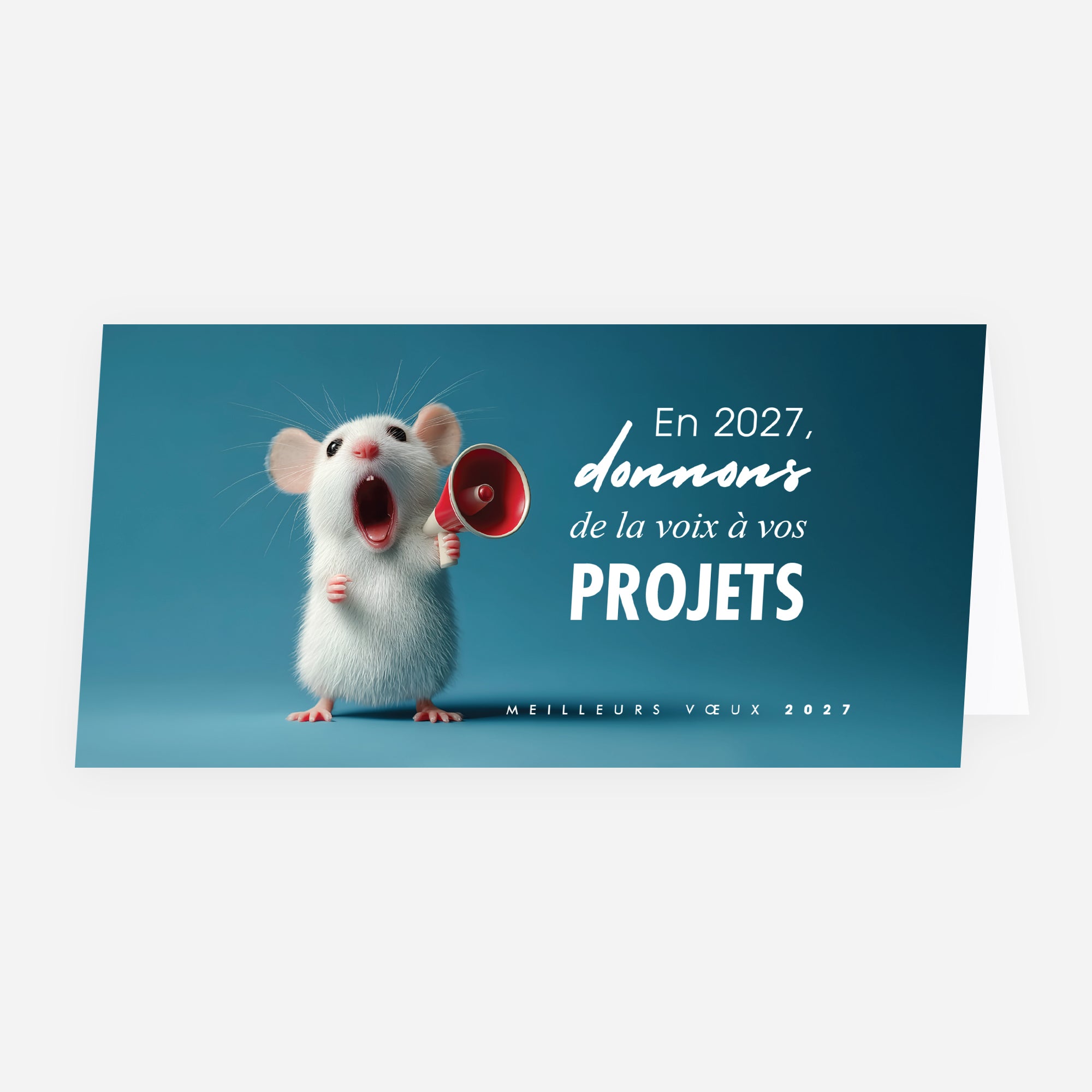 Porte-Voix | Vœux professionnels • Carte de voeux • Rectangle double photo N° 1