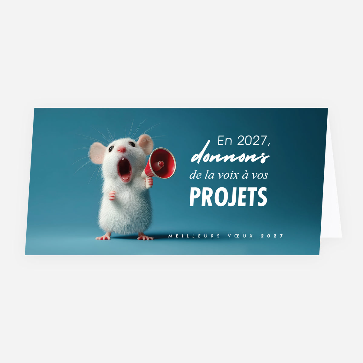 Porte-Voix | Vœux professionnels • Carte de voeux • Panoramique pliable photo N° 1