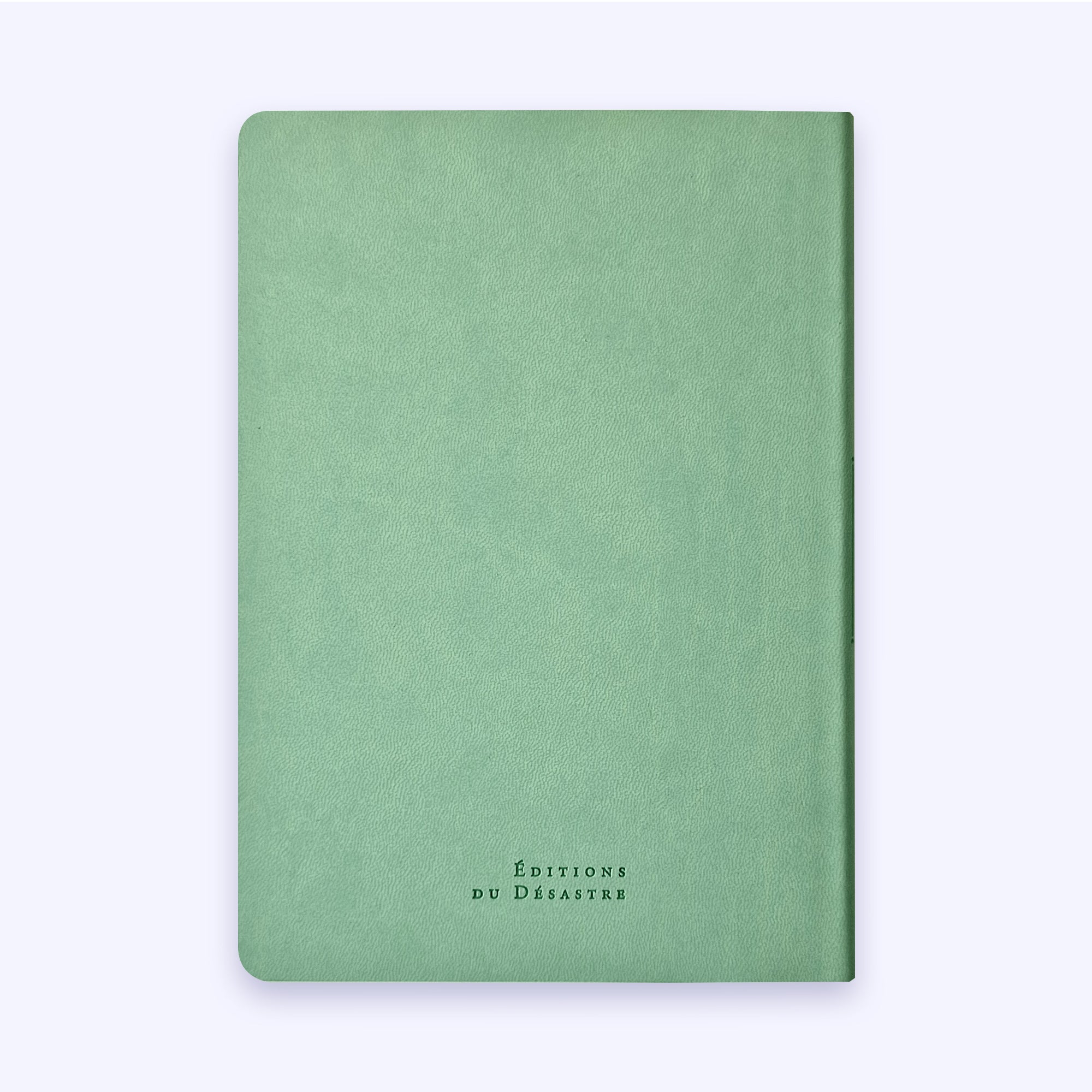 Carnet Nuance - Simili cuir - A5 - Menthe claire - 192 pages photo N° 2