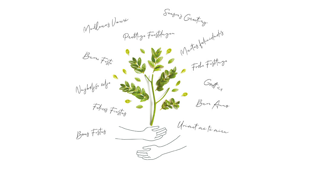 Ensemble pour la nature | Vœux professionnels • Carte virtuelle • eCard Vidéo photo N° 1