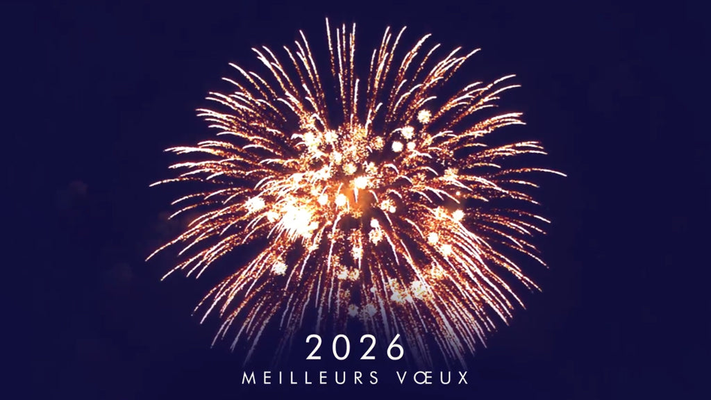 Bouquet d’étincelles | Vœux professionnels • Carte virtuelle • eCard Vidéo photo N° 1