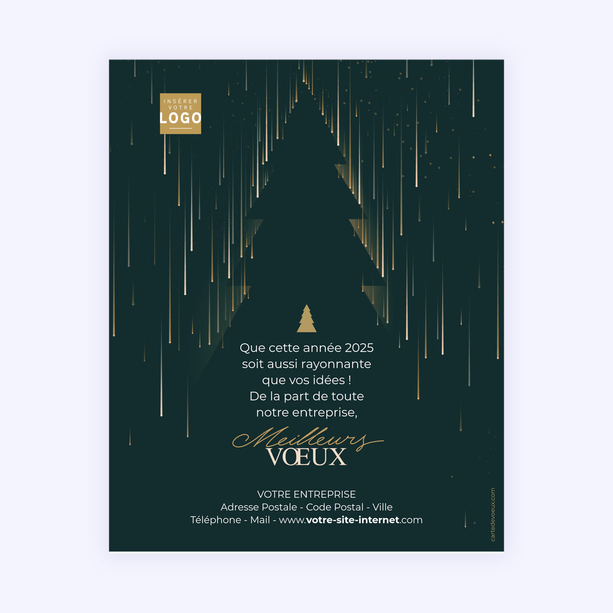 Pluie d'étoiles | Vœux professionnels • Carte virtuelle photo N° 1