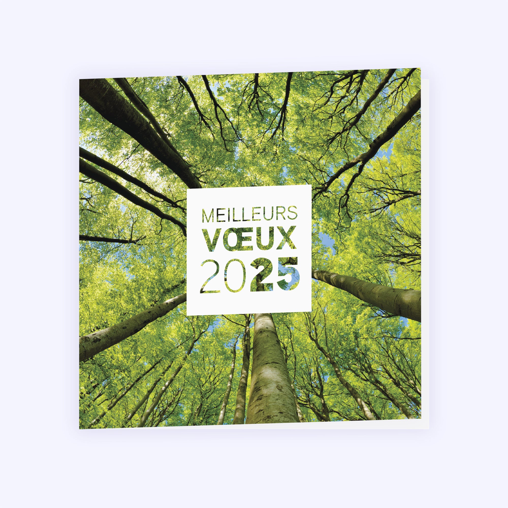Au cœur de la forêt | Vœux professionnels • Carte de voeux photo N° 1