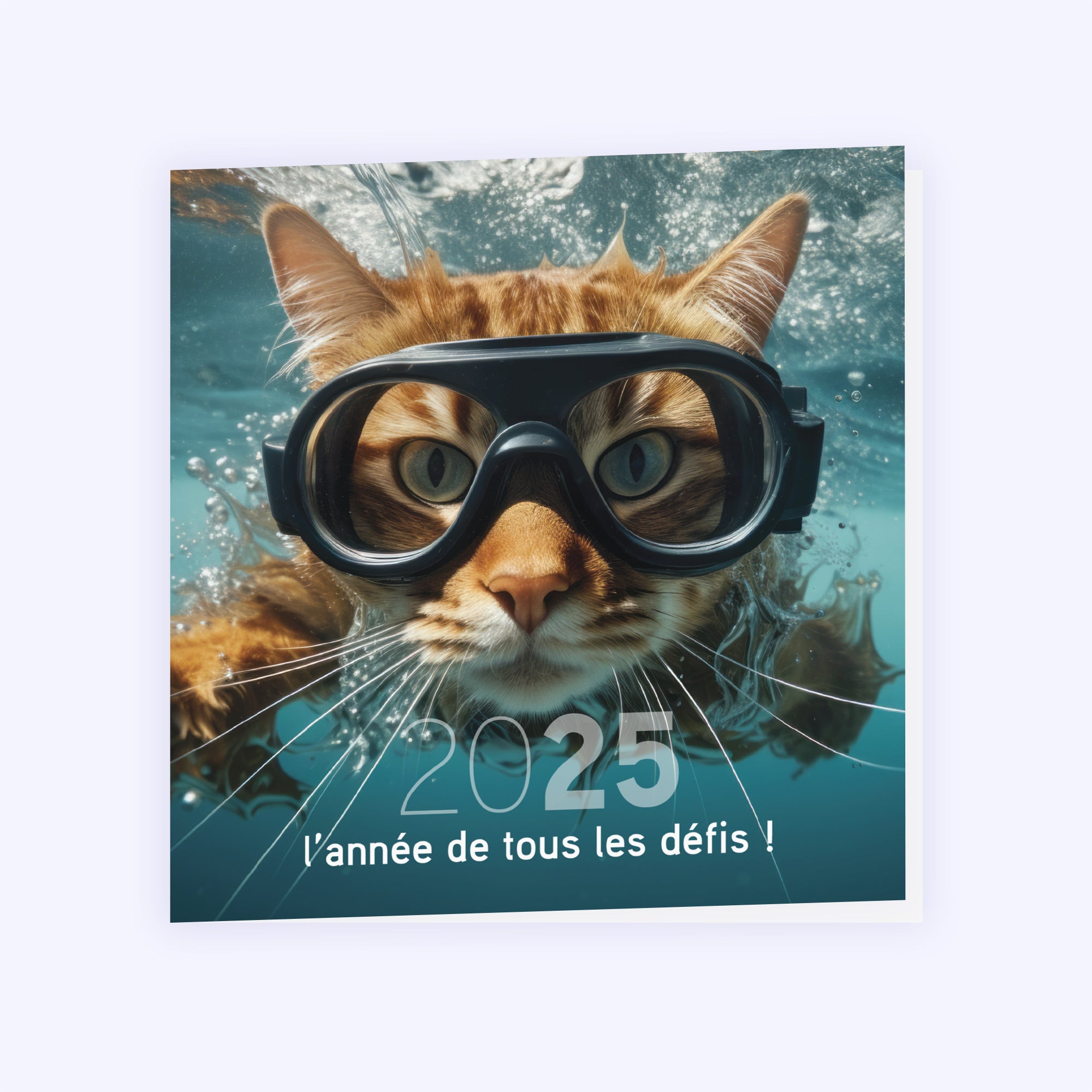 Chat(leureuse) année | Vœux professionnels • Carte de voeux photo N° 1