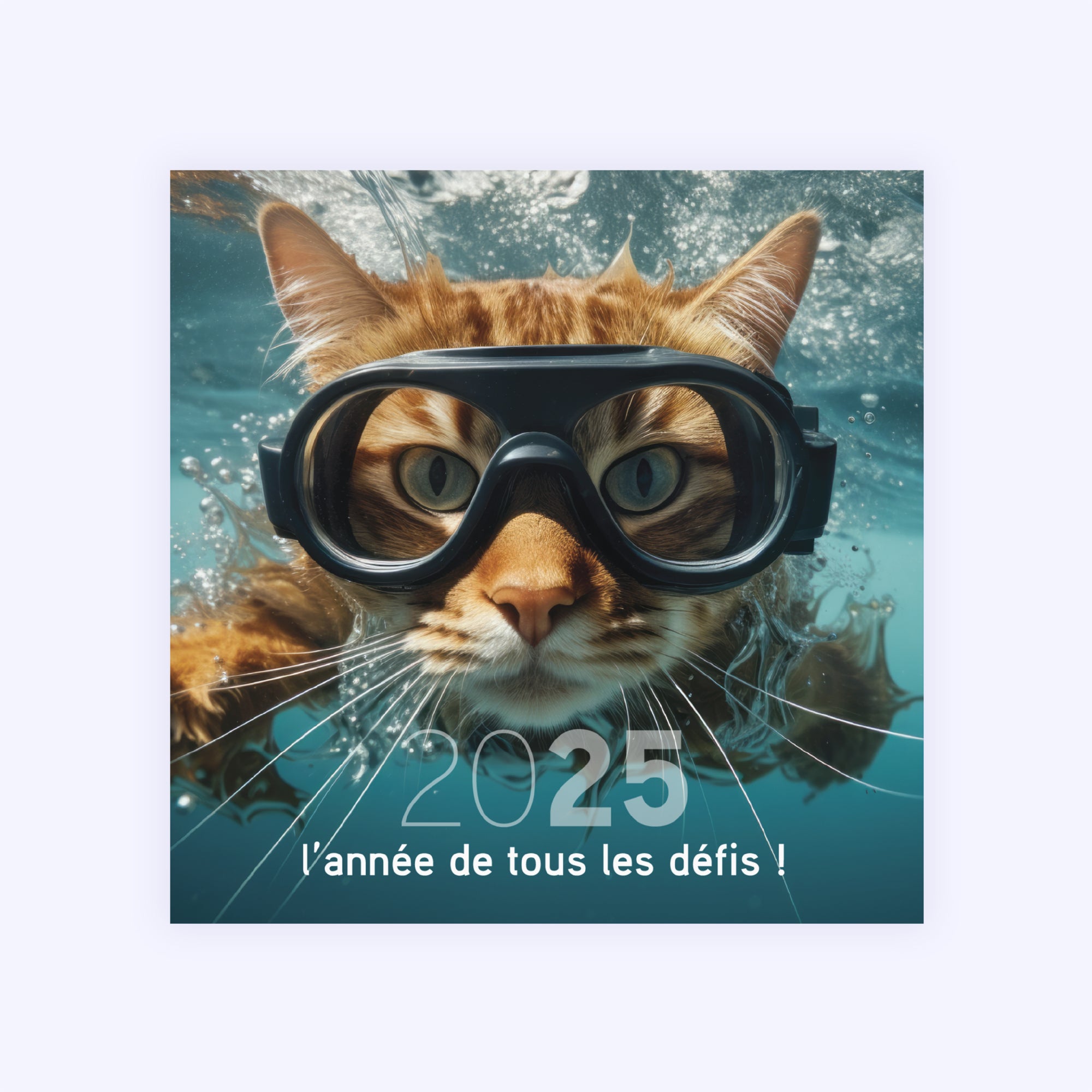 Chat(leureuse) année | Vœux professionnels • Carte de voeux photo N° 1