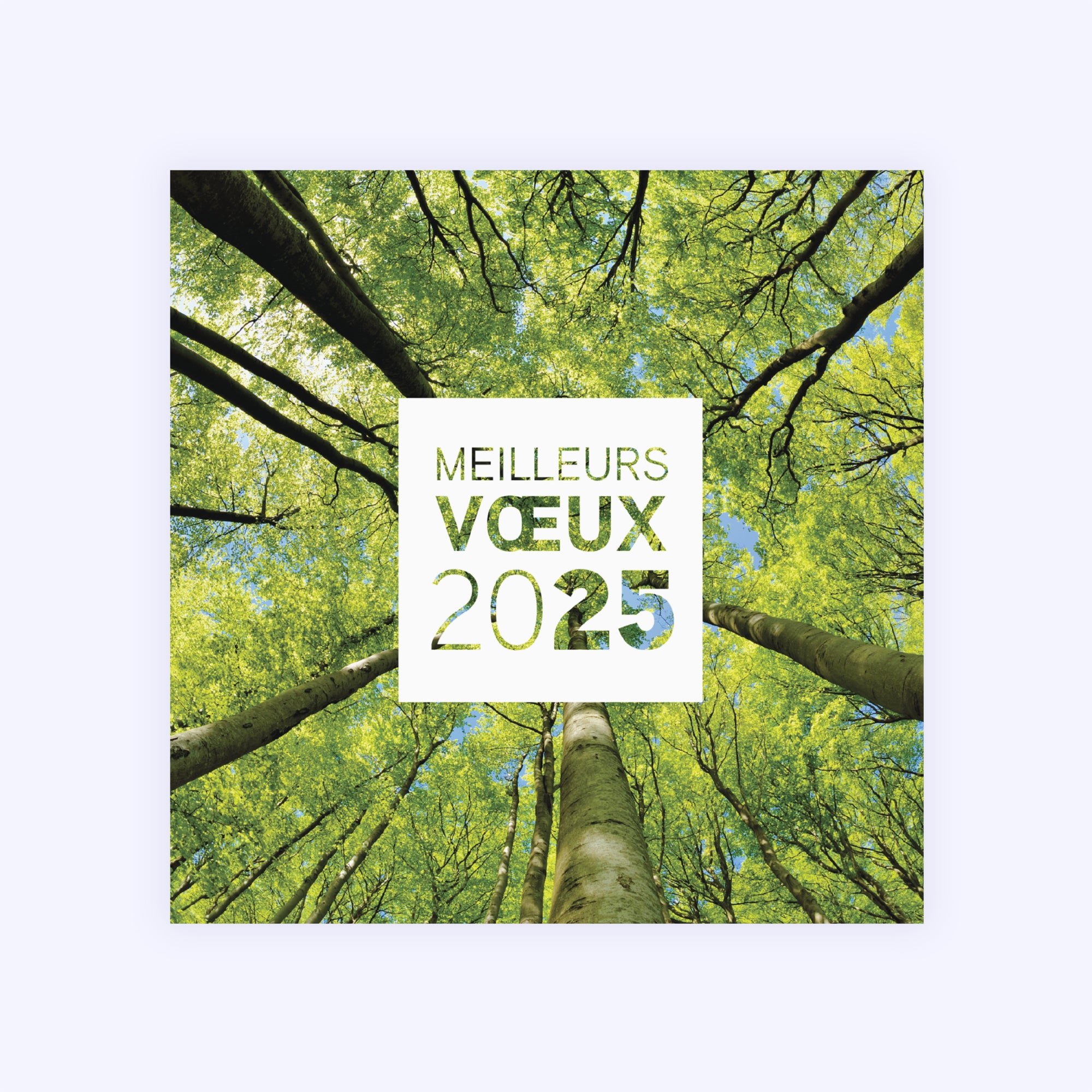 Au cœur de la forêt | Vœux professionnels • Carte de voeux photo N° 1