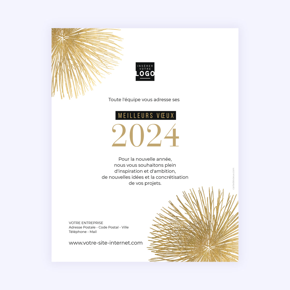 Feu d'Artifice | Vœux professionnels • Carte virtuelle photo N° 1