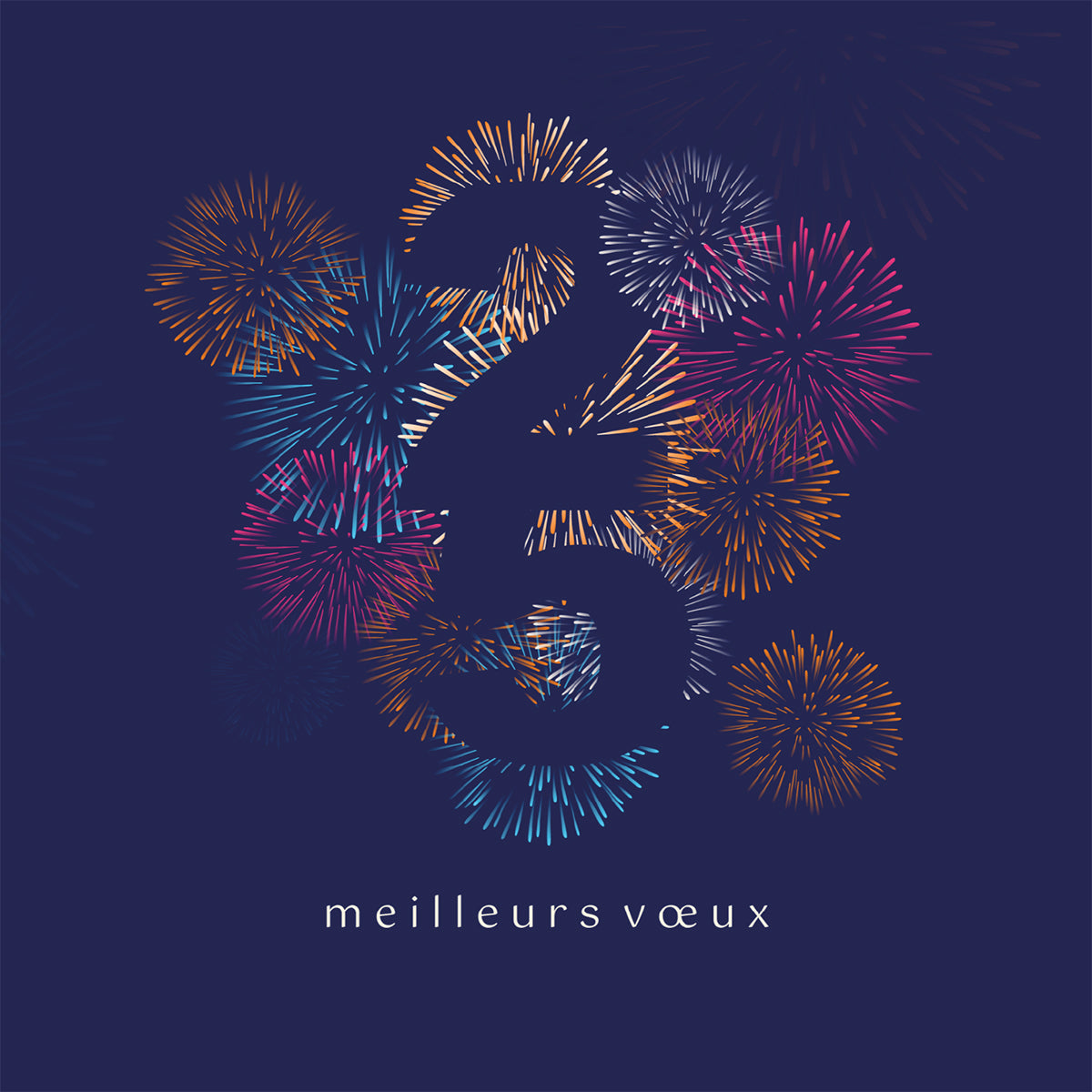 Fireworks | Vœux professionnels • Carte virtuelle photo N° 1