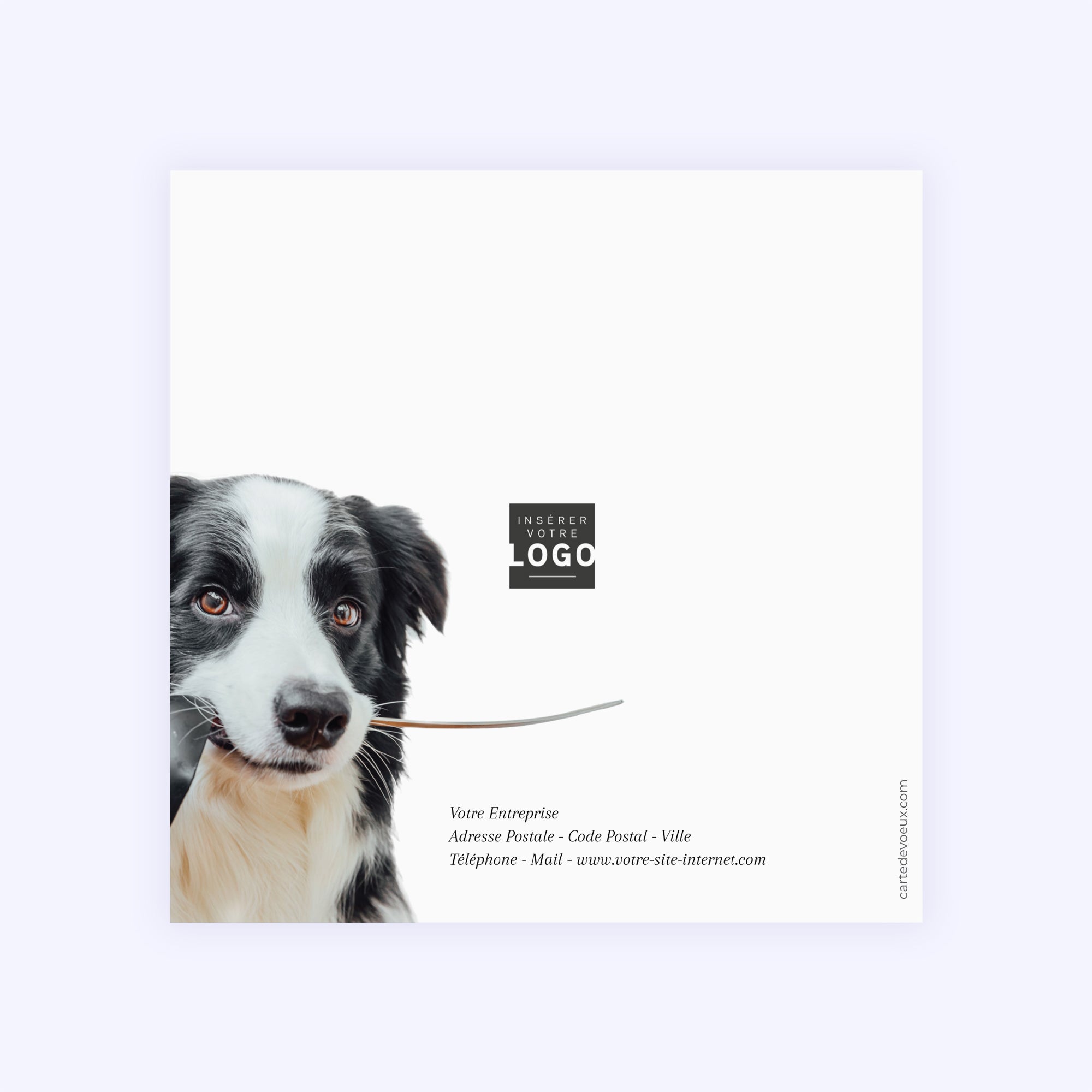 Saveurs de Fête | Vœux professionnels • Carte de voeux • Carré double photo N° 3