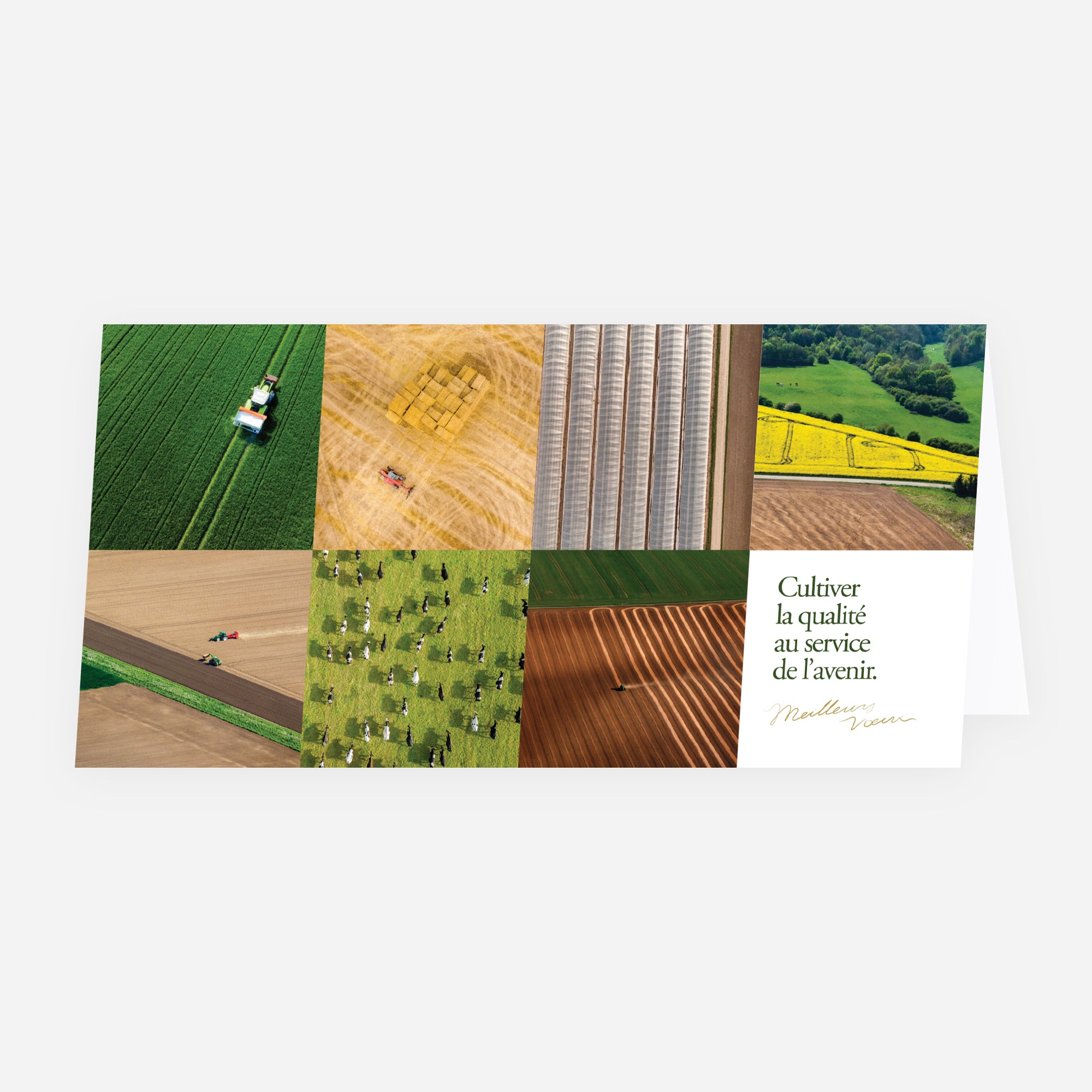 Cultiver l’Avenir | Vœux professionnels • Carte de voeux • Rectangle double photo N° 1