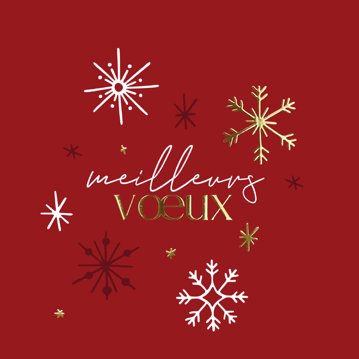 Ronde de Flocons | Vœux professionnels • Carte virtuelle • Ecard vidéo photo N° 1