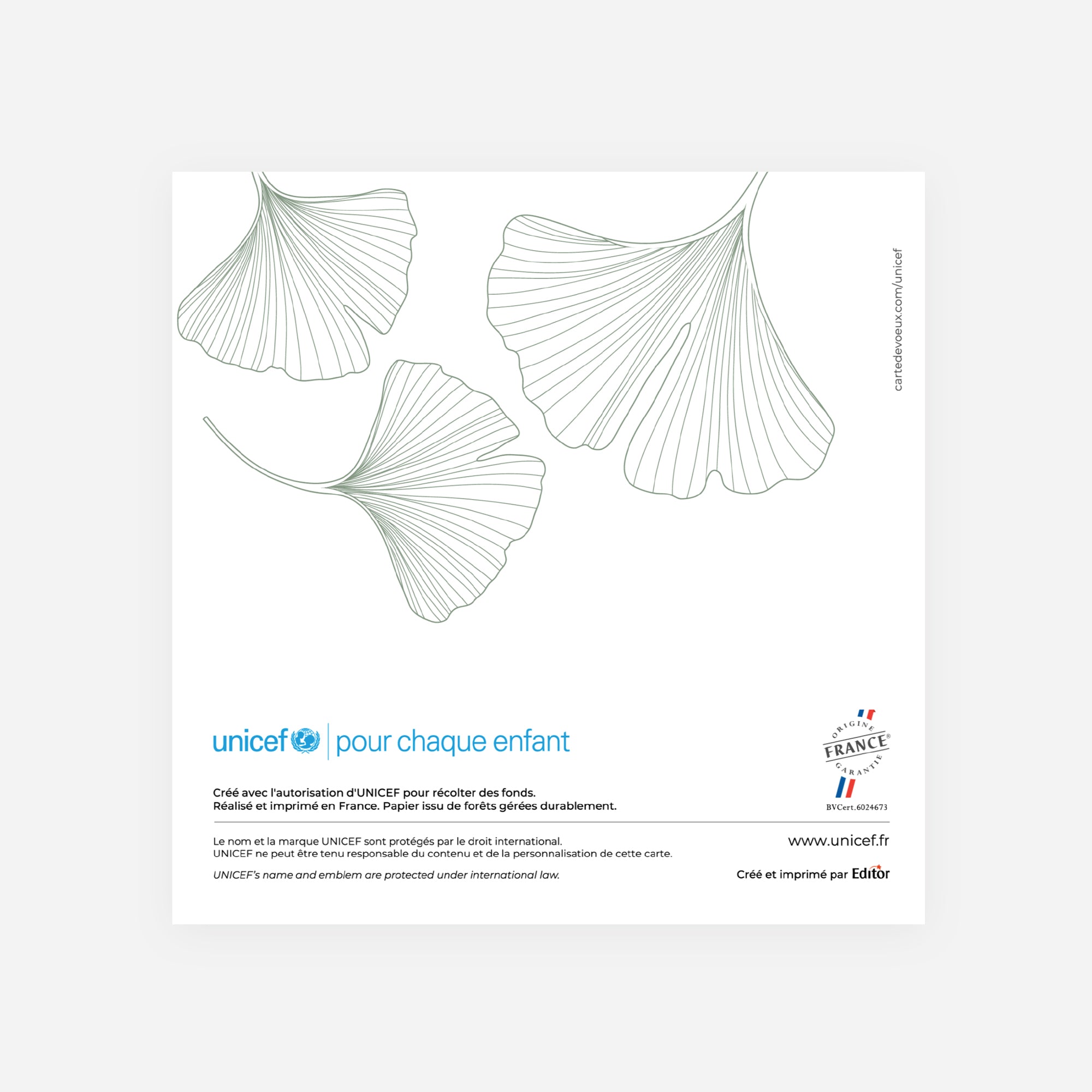 Ginkgo Vert Amande | Vœux professionnels • Carte de voeux • Carré double photo N° 3