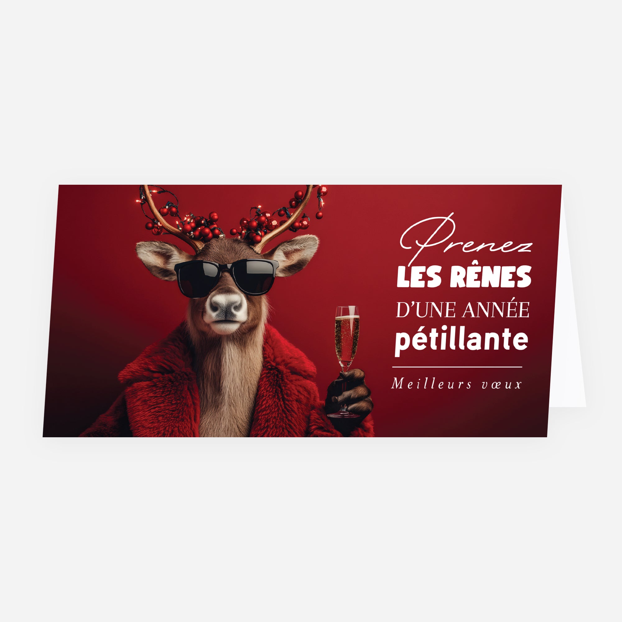 L’Audace en Fête | Vœux professionnels • Carte de voeux • Panoramique pliable photo N° 1